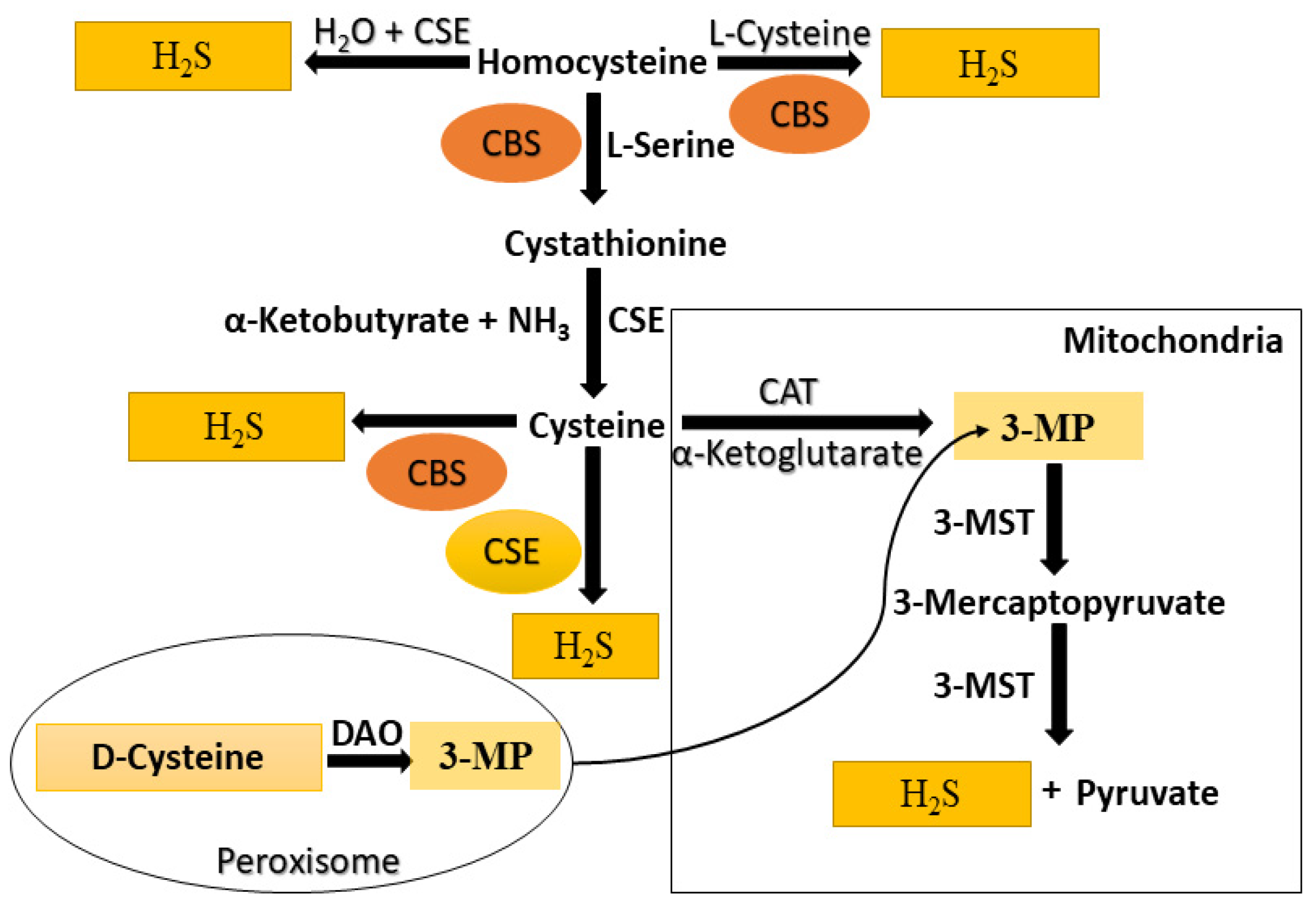 Molecules 27 03389 g001