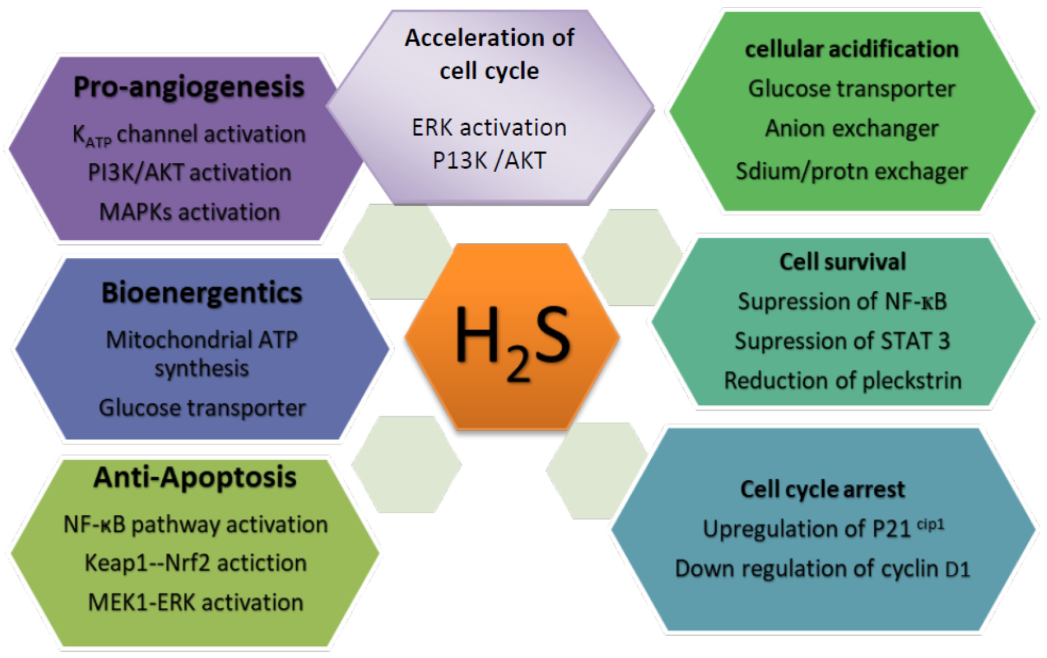 Molecules 27 03389 g002