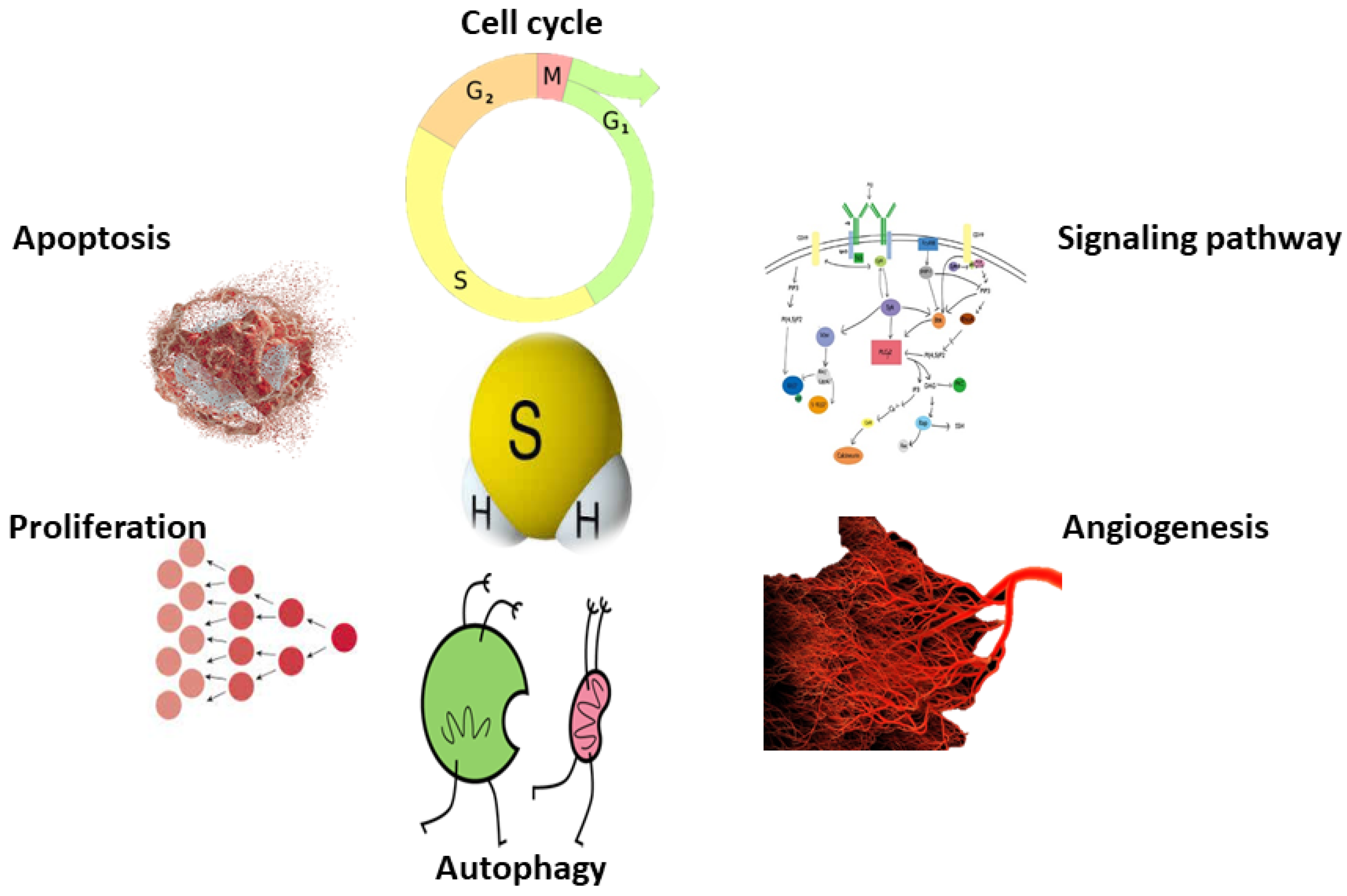 Molecules 27 03389 g005