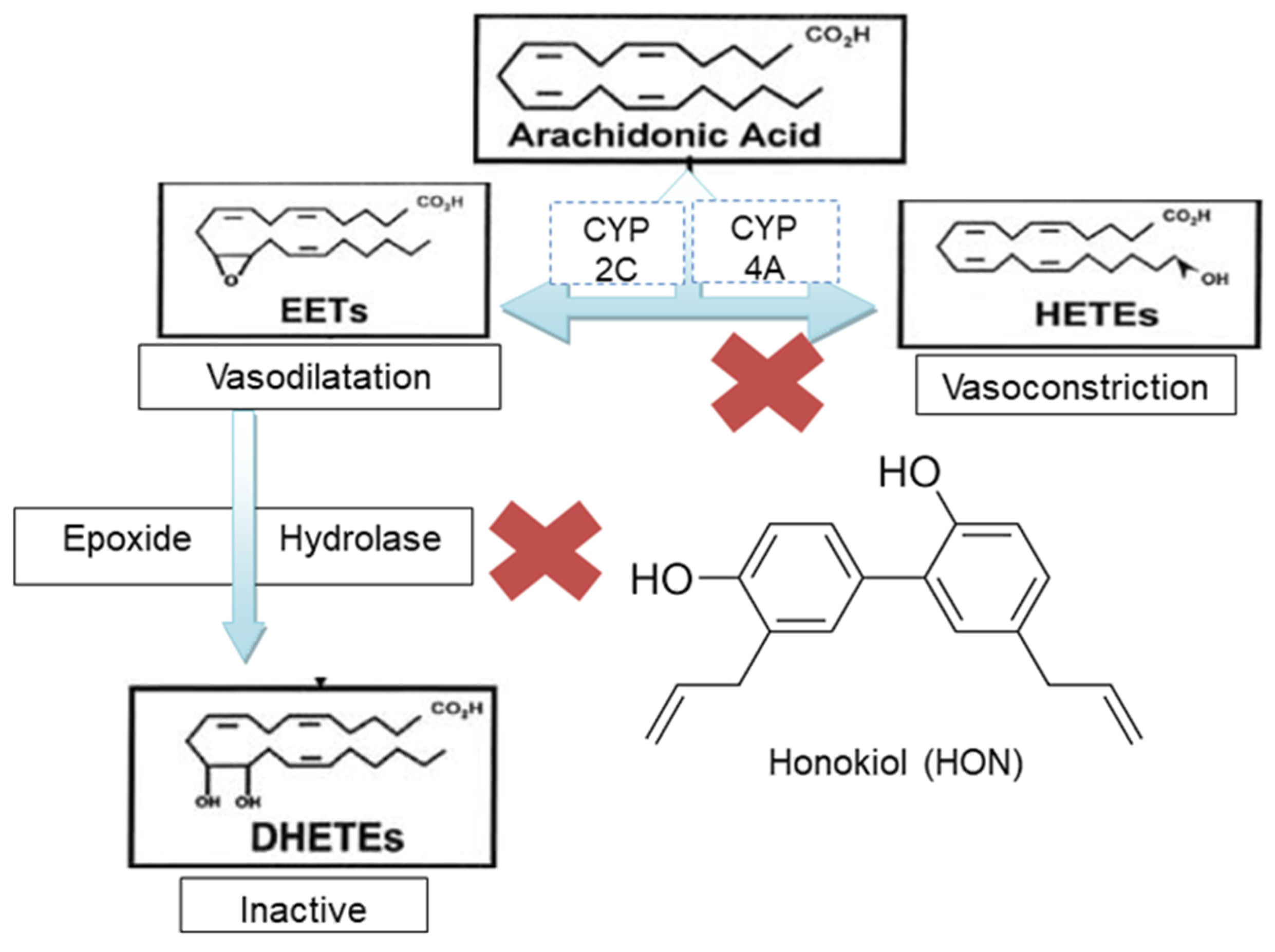 Molecules 27 03396 g001