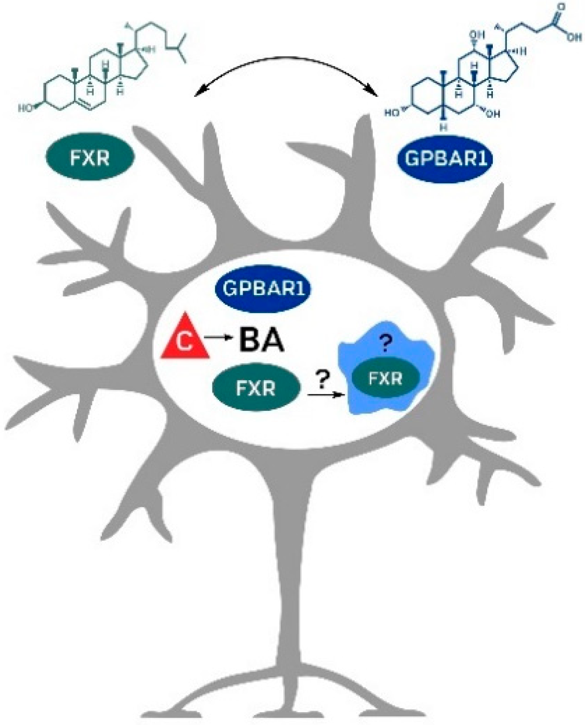 Molecules 27 03401 g002