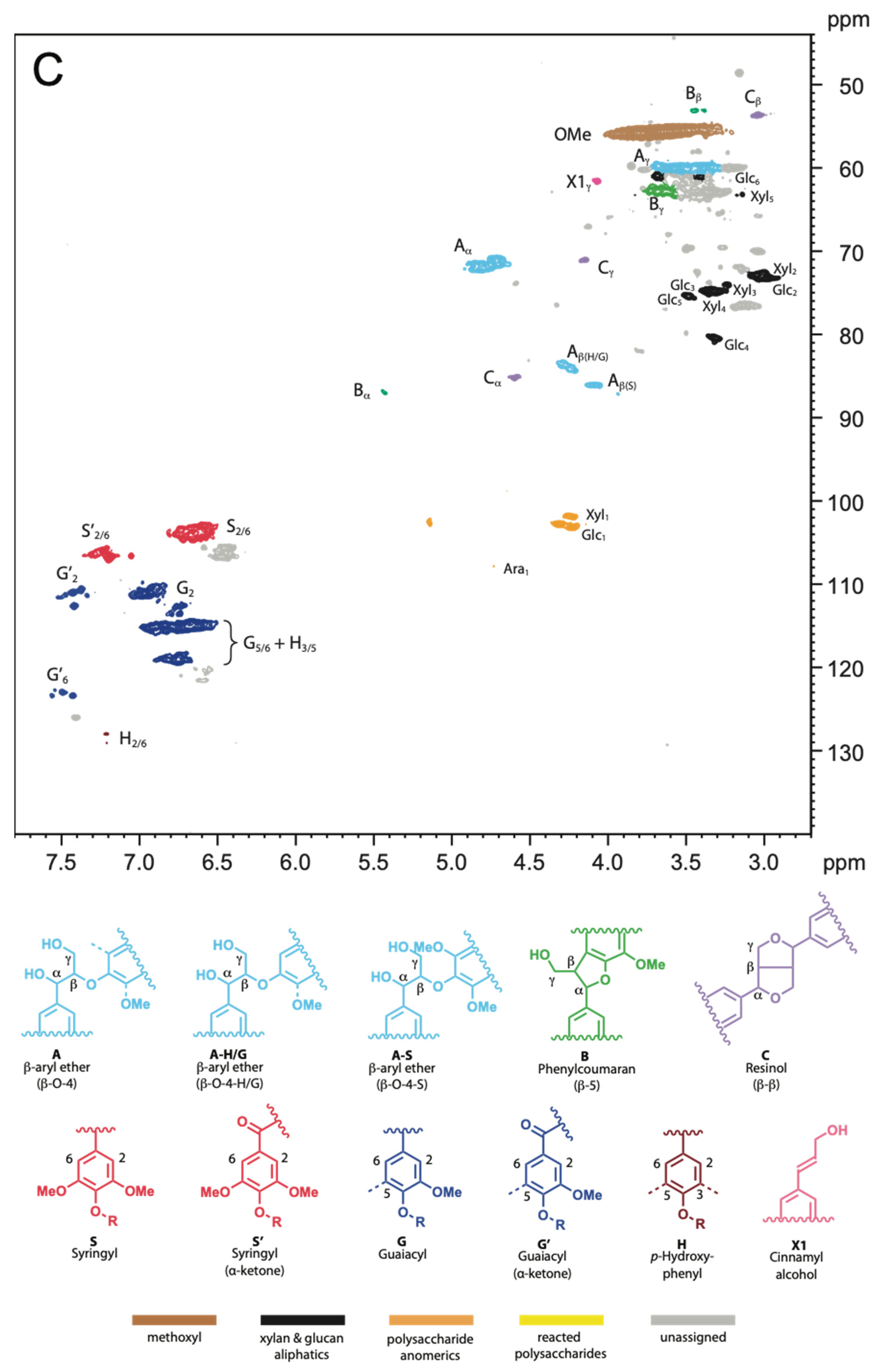 Molecules 27 03407 g003