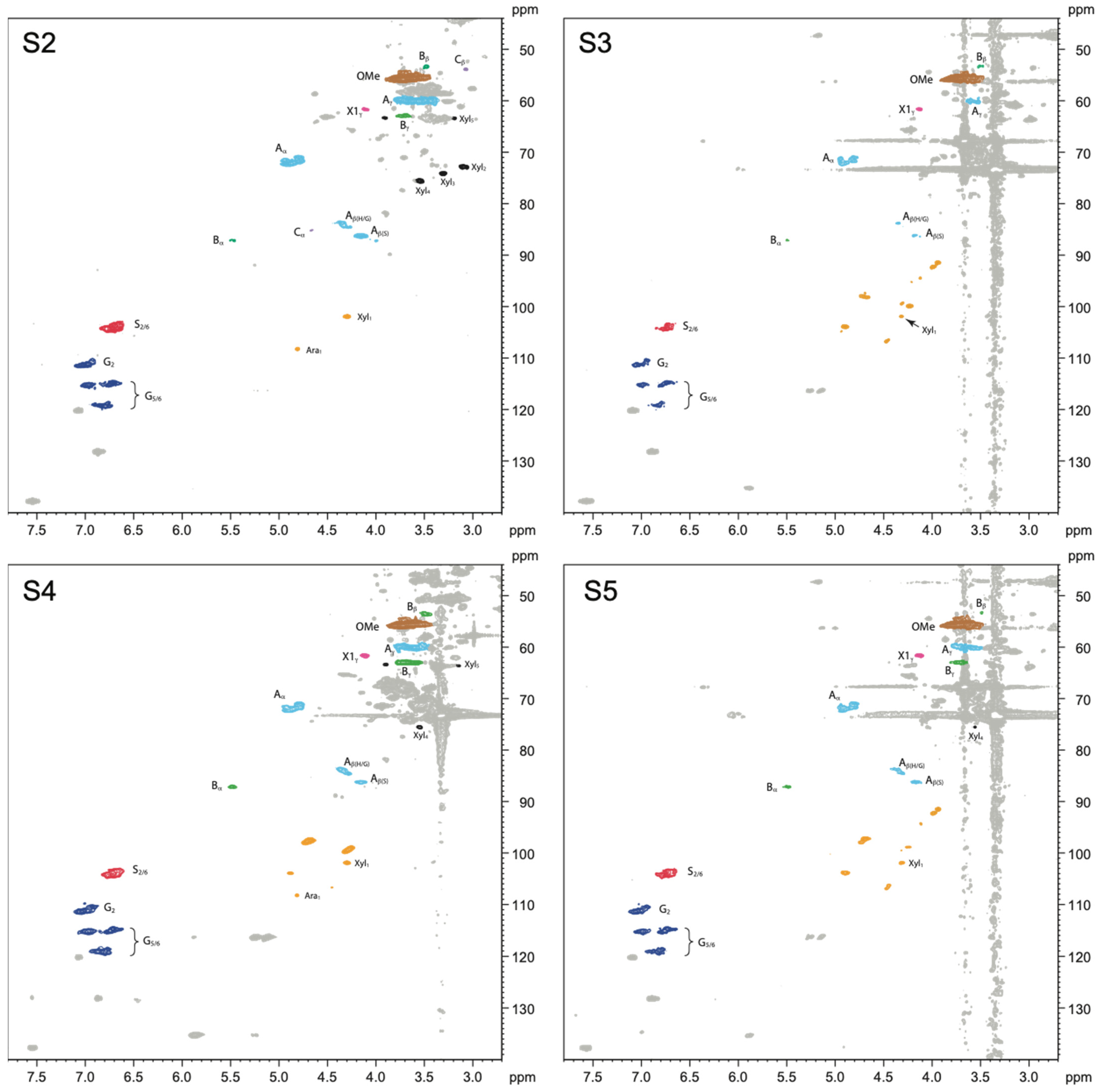 Molecules 27 03407 g005