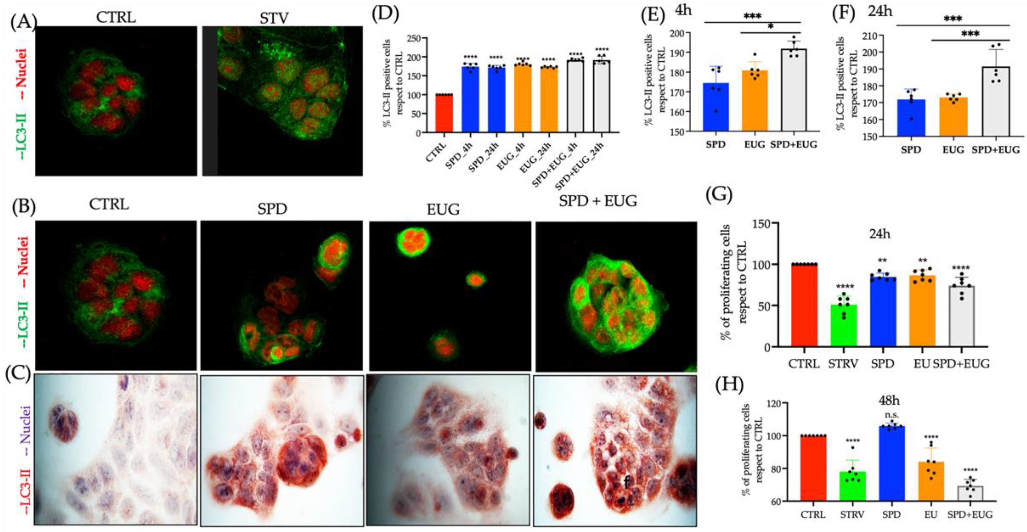 Molecules 27 03425 g004