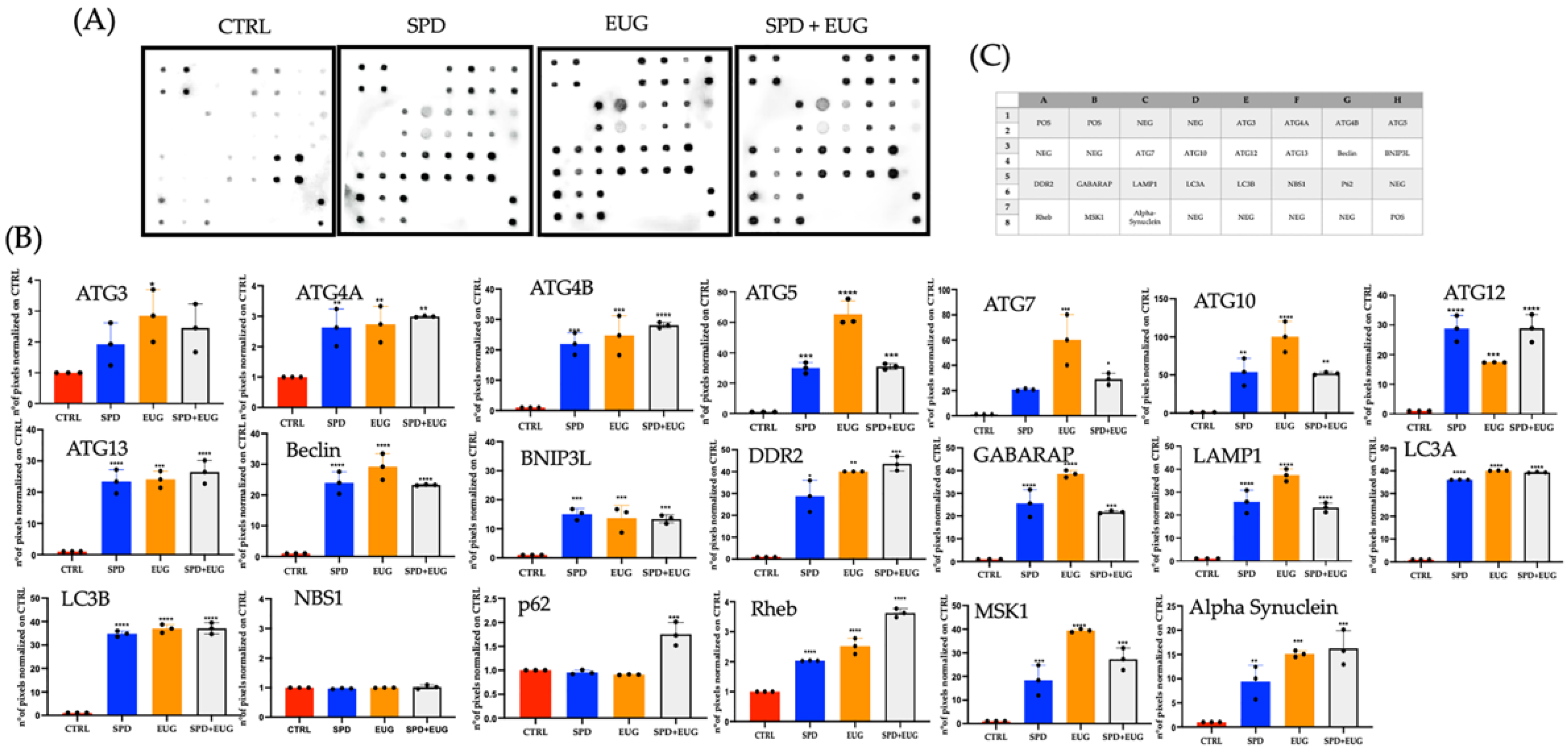 Molecules 27 03425 g005
