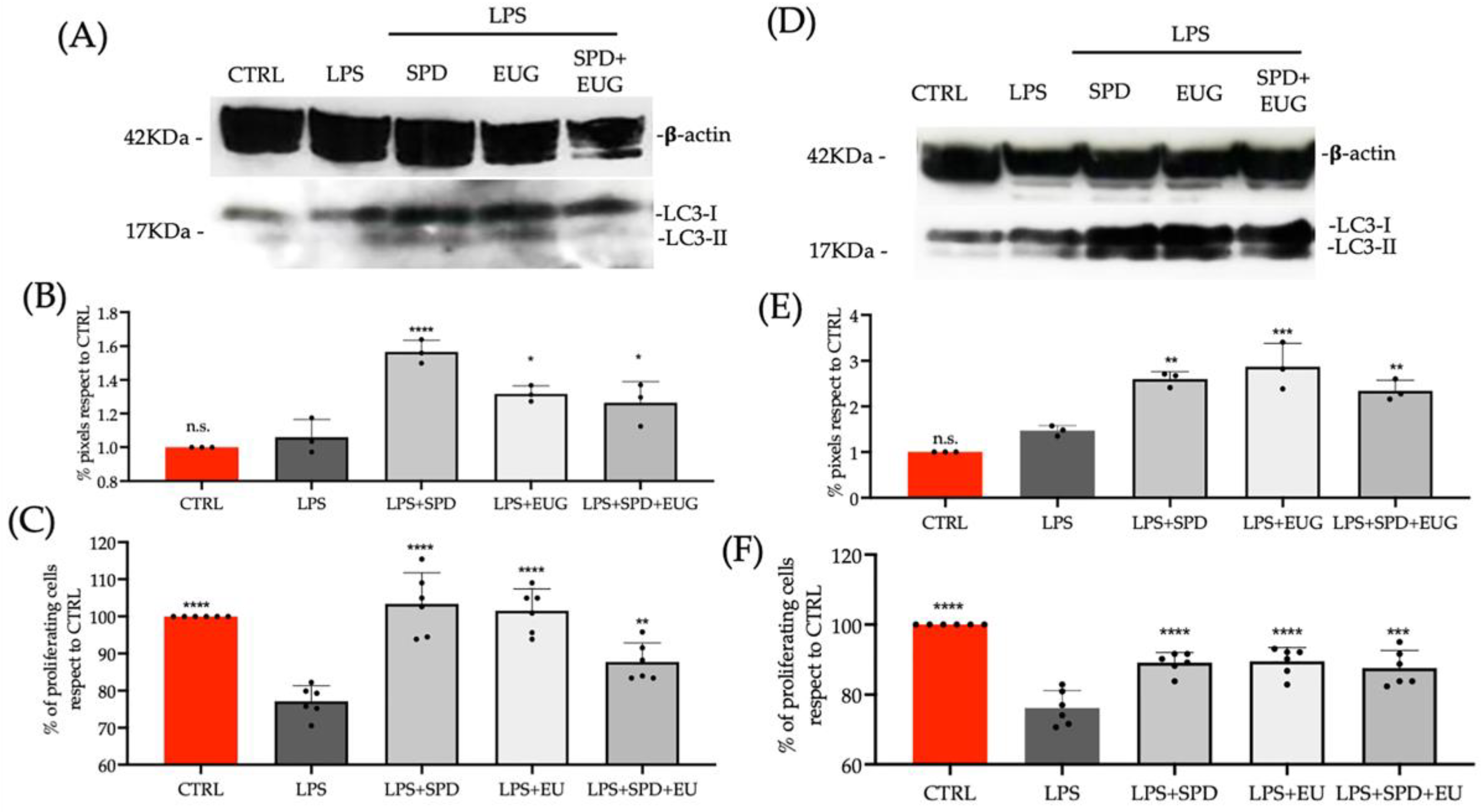 Molecules 27 03425 g007