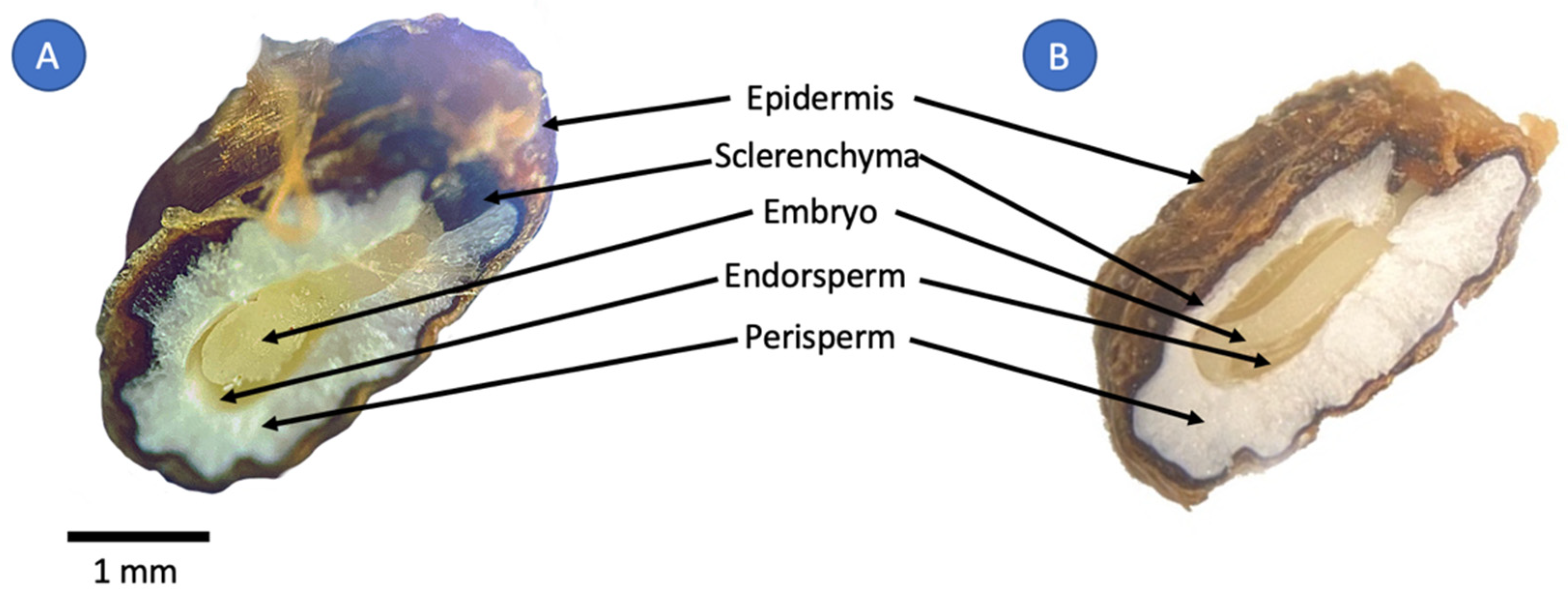 Molecules 27 03433 g001