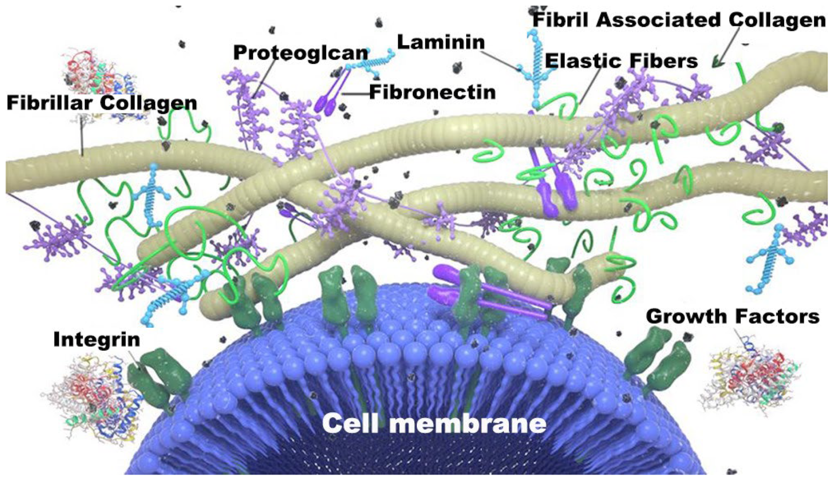 Molecules 27 03442 g002