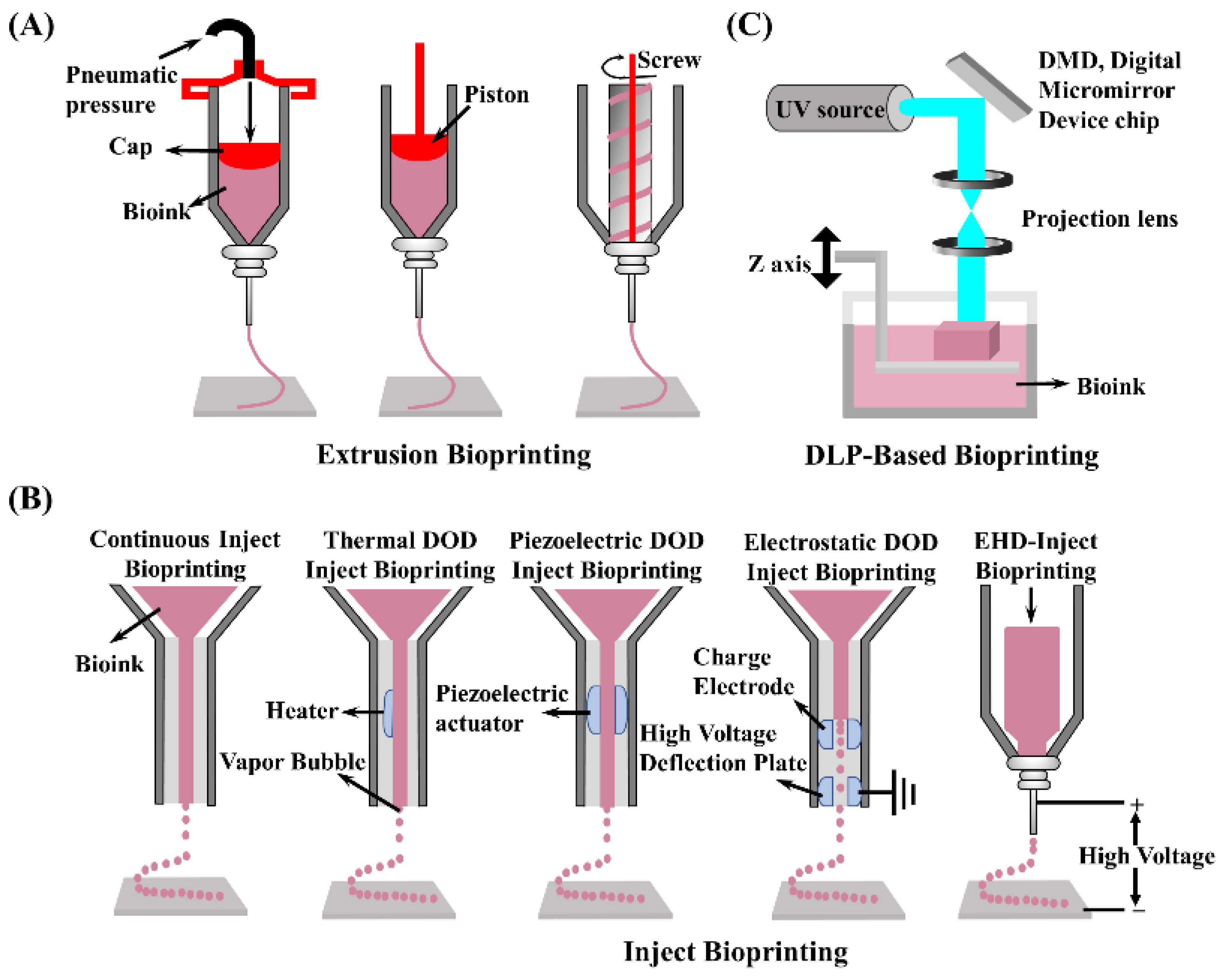 Molecules 27 03442 g004