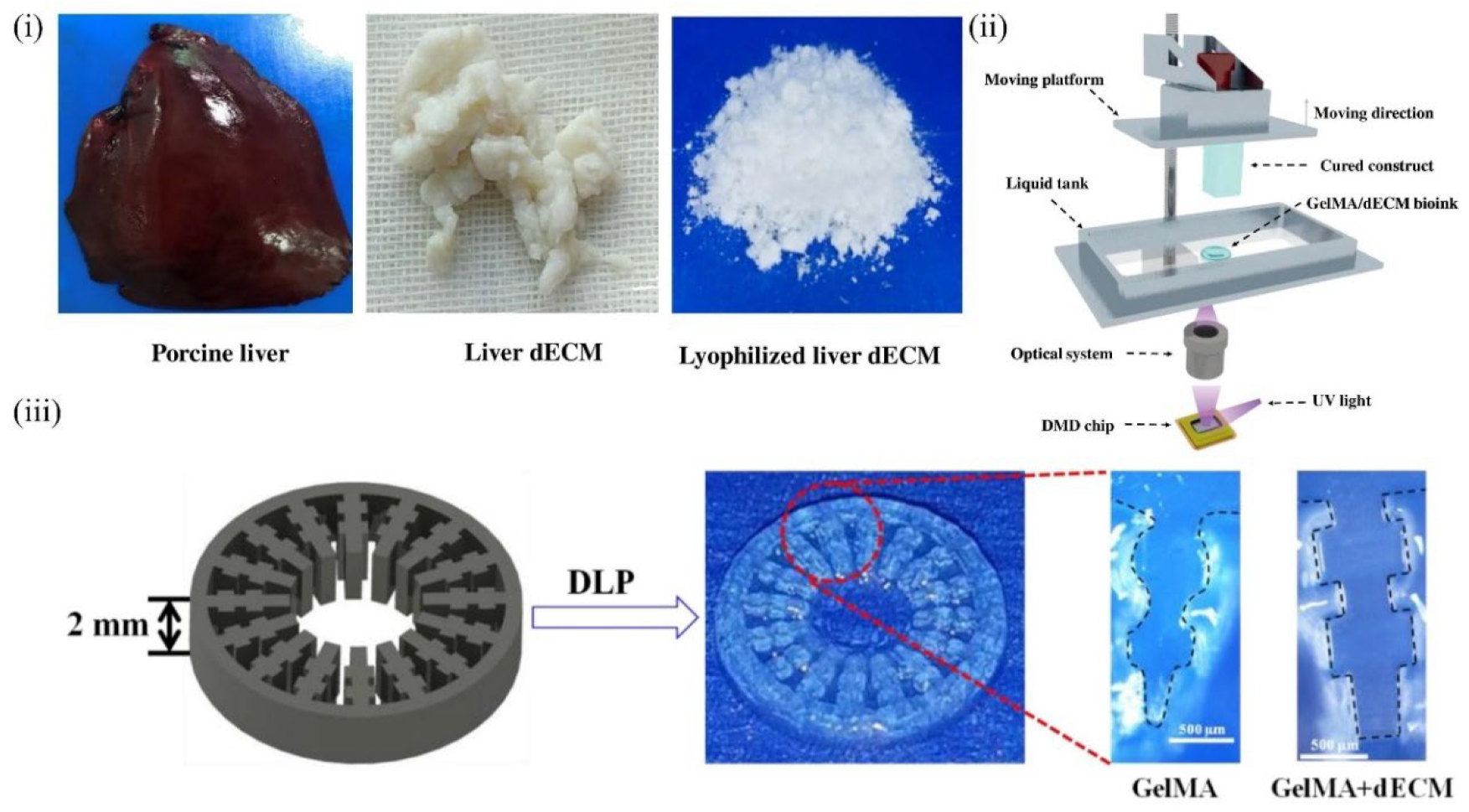 Molecules 27 03442 g006