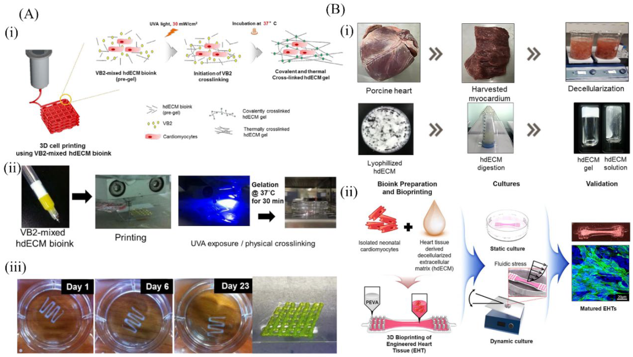 Molecules 27 03442 g008