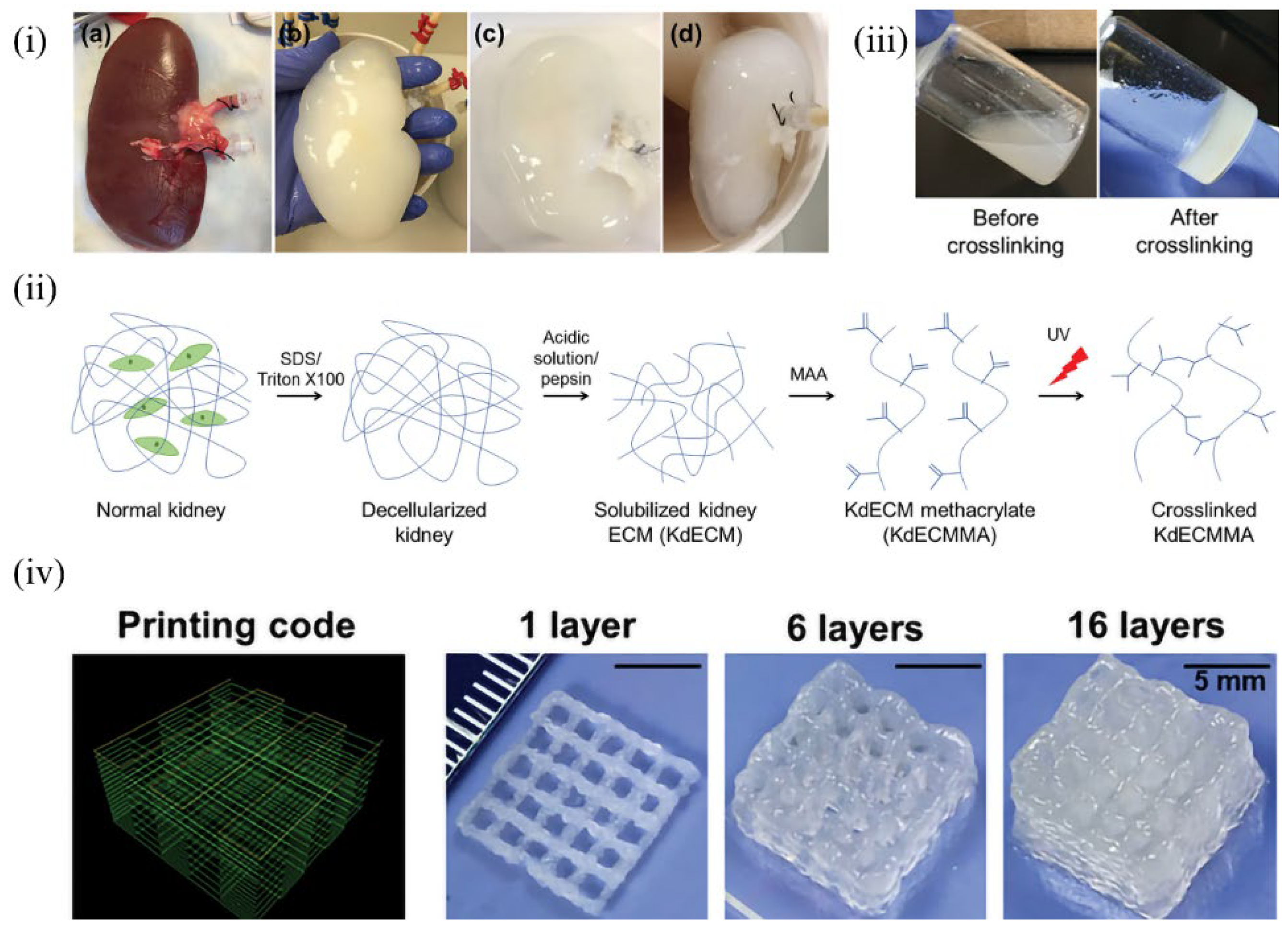 Molecules 27 03442 g010