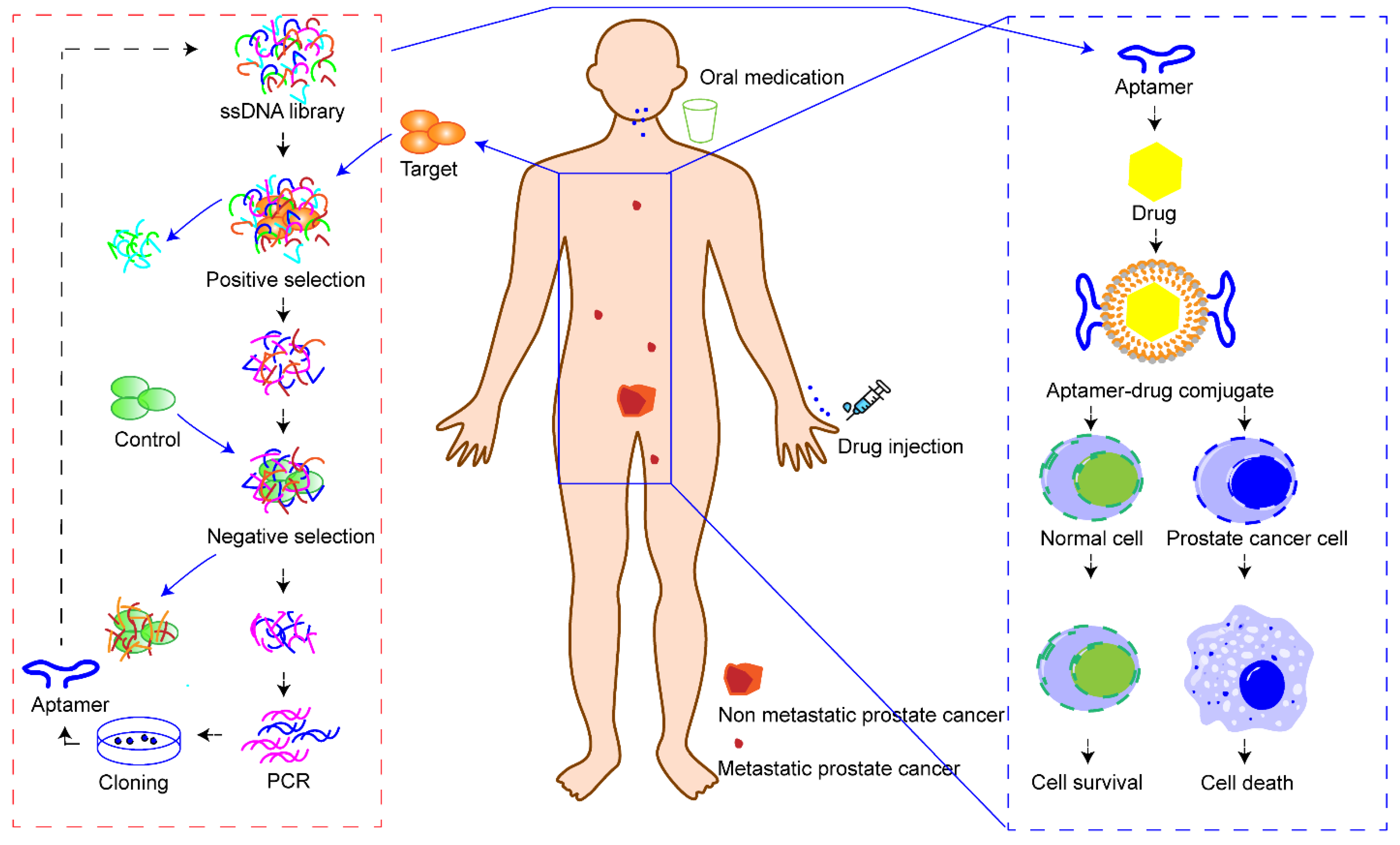 Molecules 27 03446 g003 Molecules 27 03446 g003