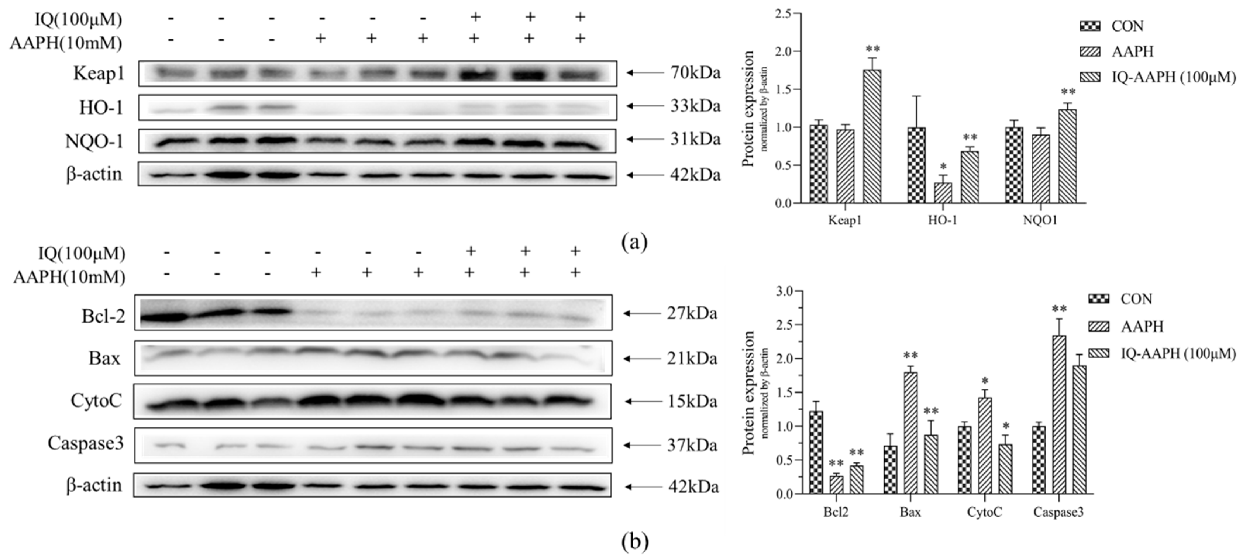 Molecules 27 03459 g003 Molecules 27 03459 g003