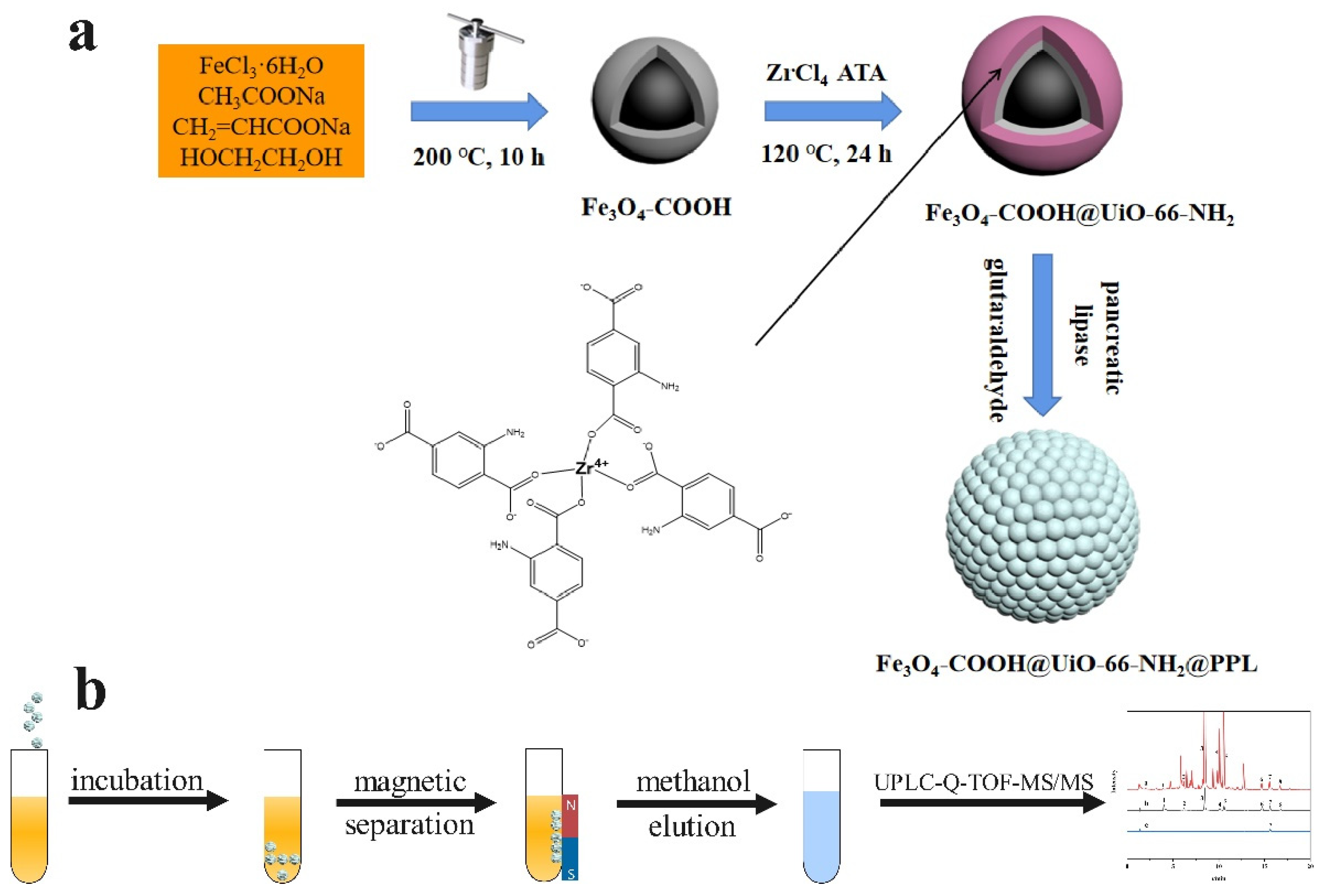 Molecules 27 03475 g001