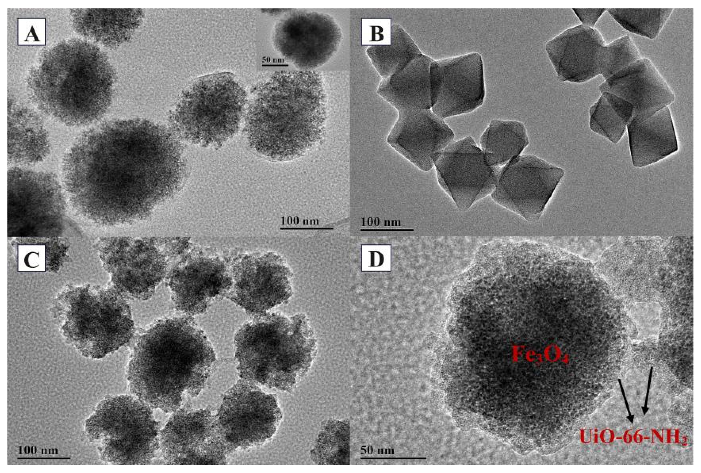 Molecules 27 03475 g004