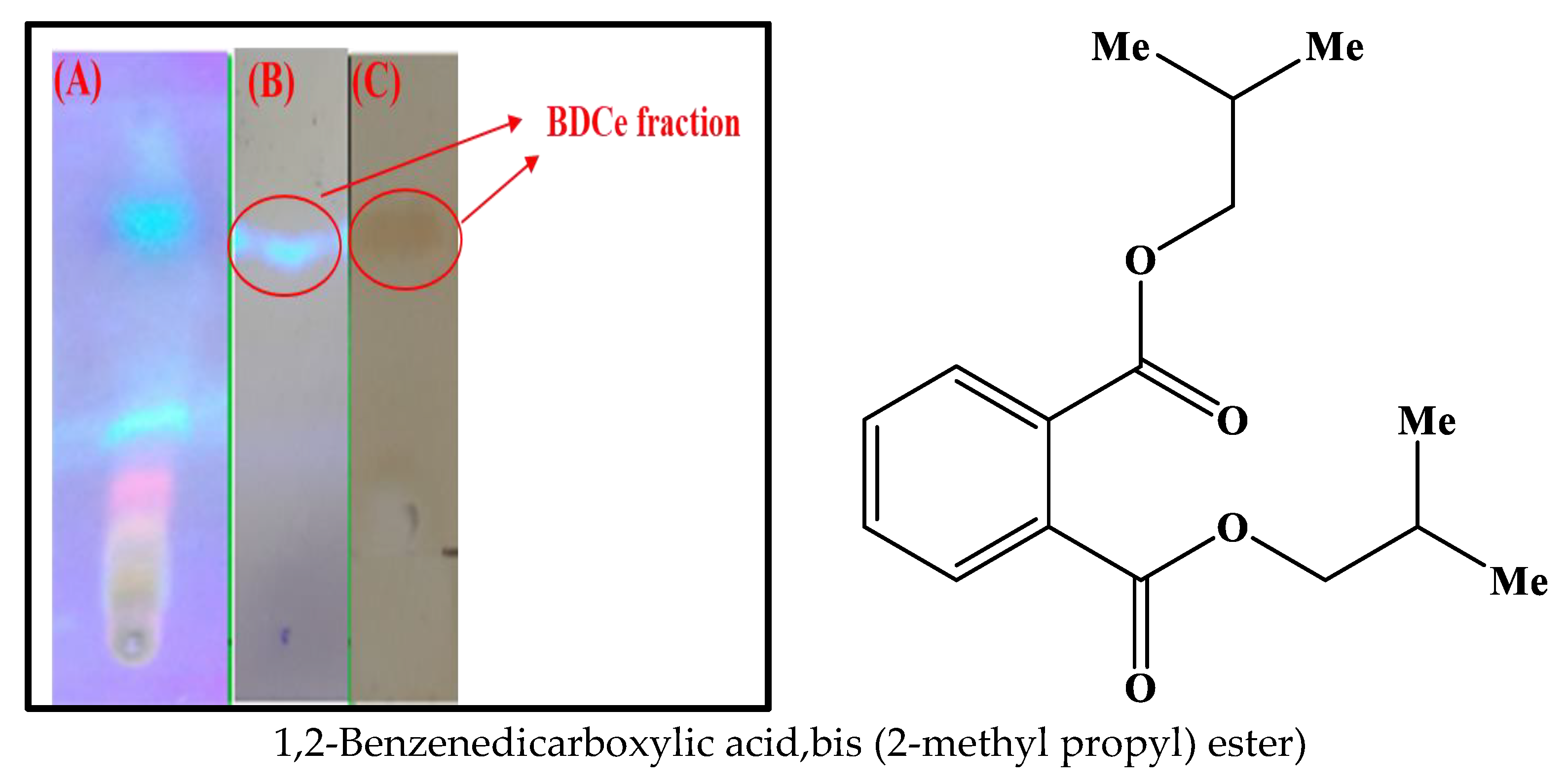Molecules 27 03478 g002 Molecules 27 03478 g002