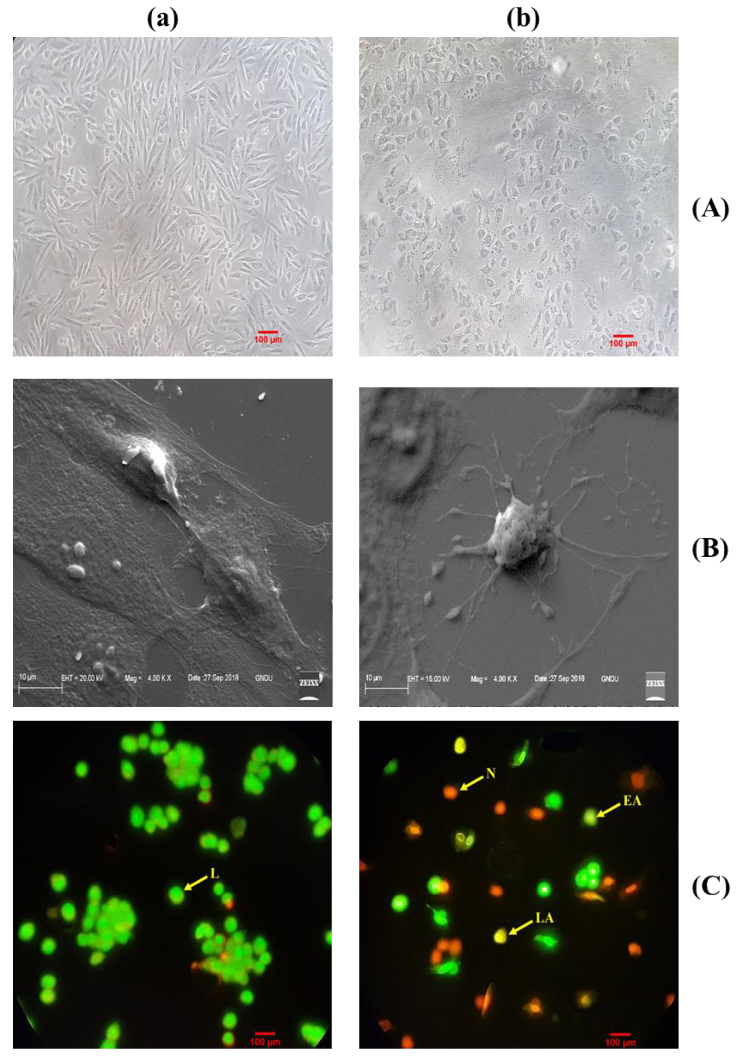 Molecules 27 03478 g009a Molecules 27 03478 g009a