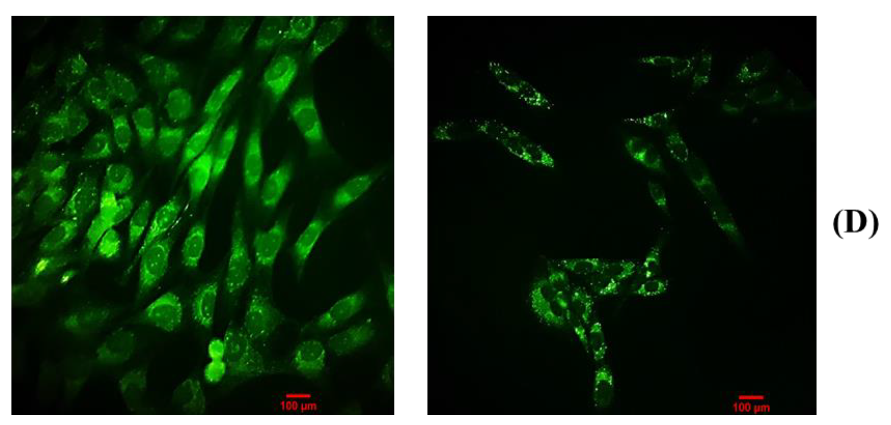 Molecules 27 03478 g009b Molecules 27 03478 g009b