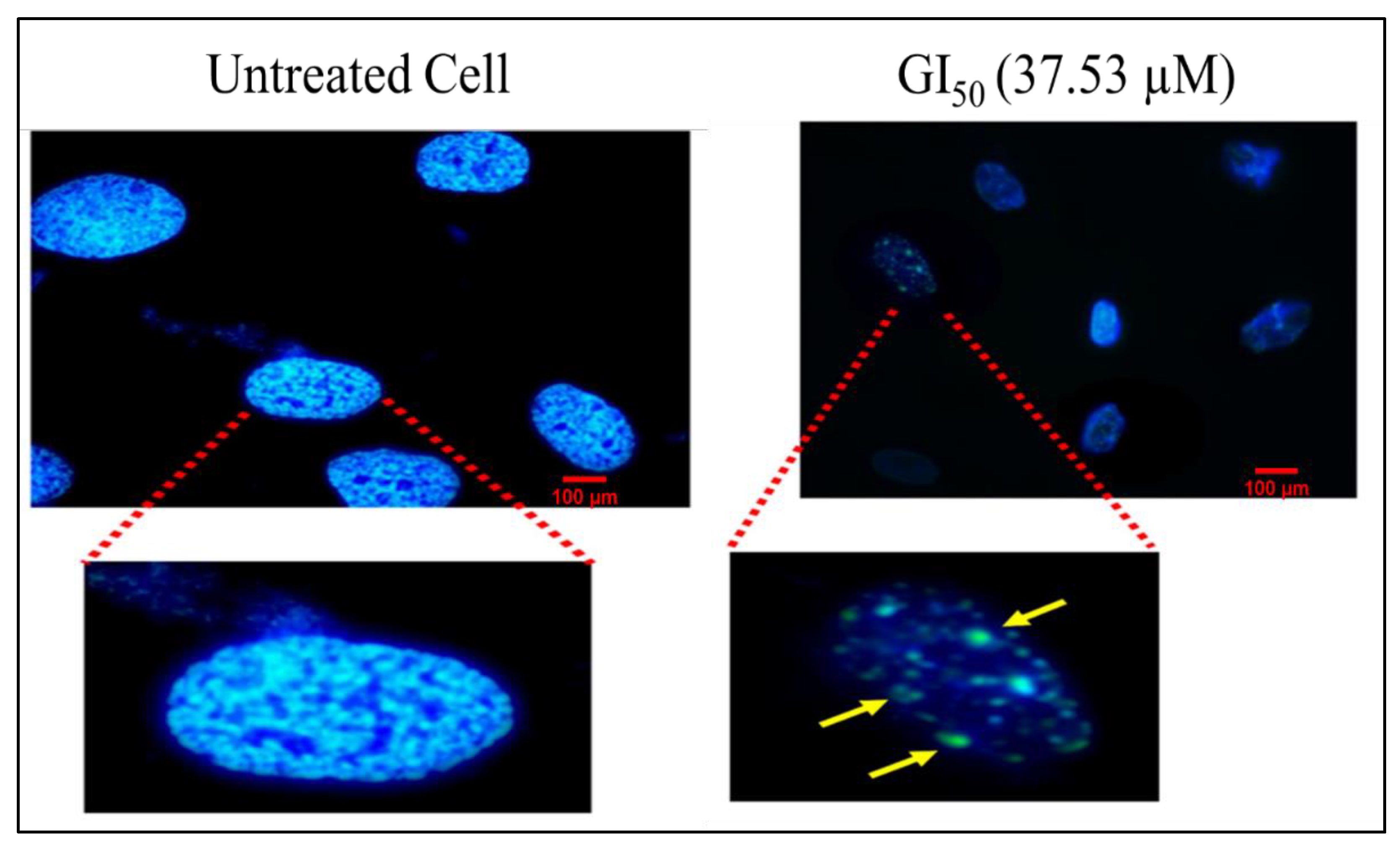 Molecules 27 03478 g010 Molecules 27 03478 g010