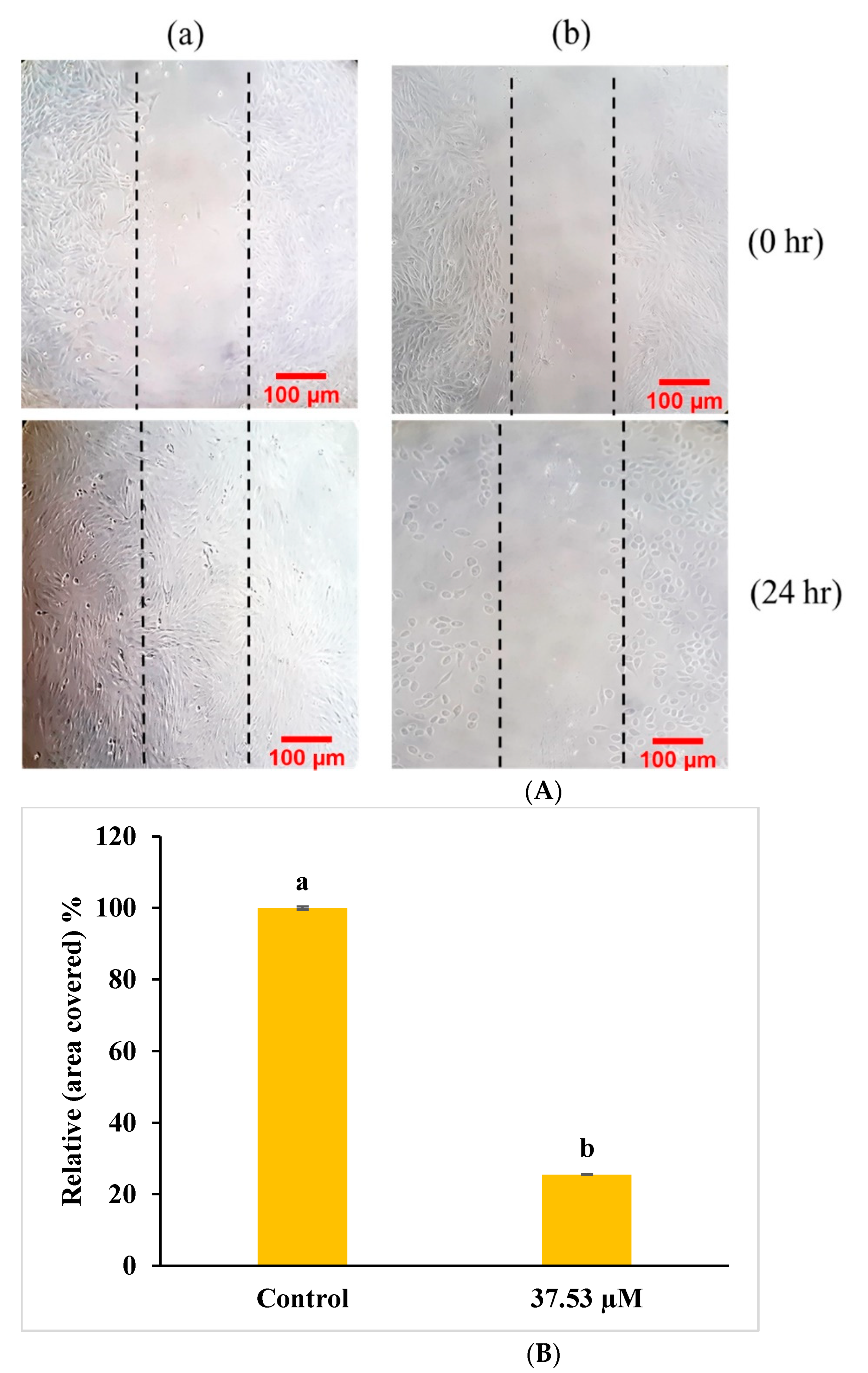 Molecules 27 03478 g011 Molecules 27 03478 g011