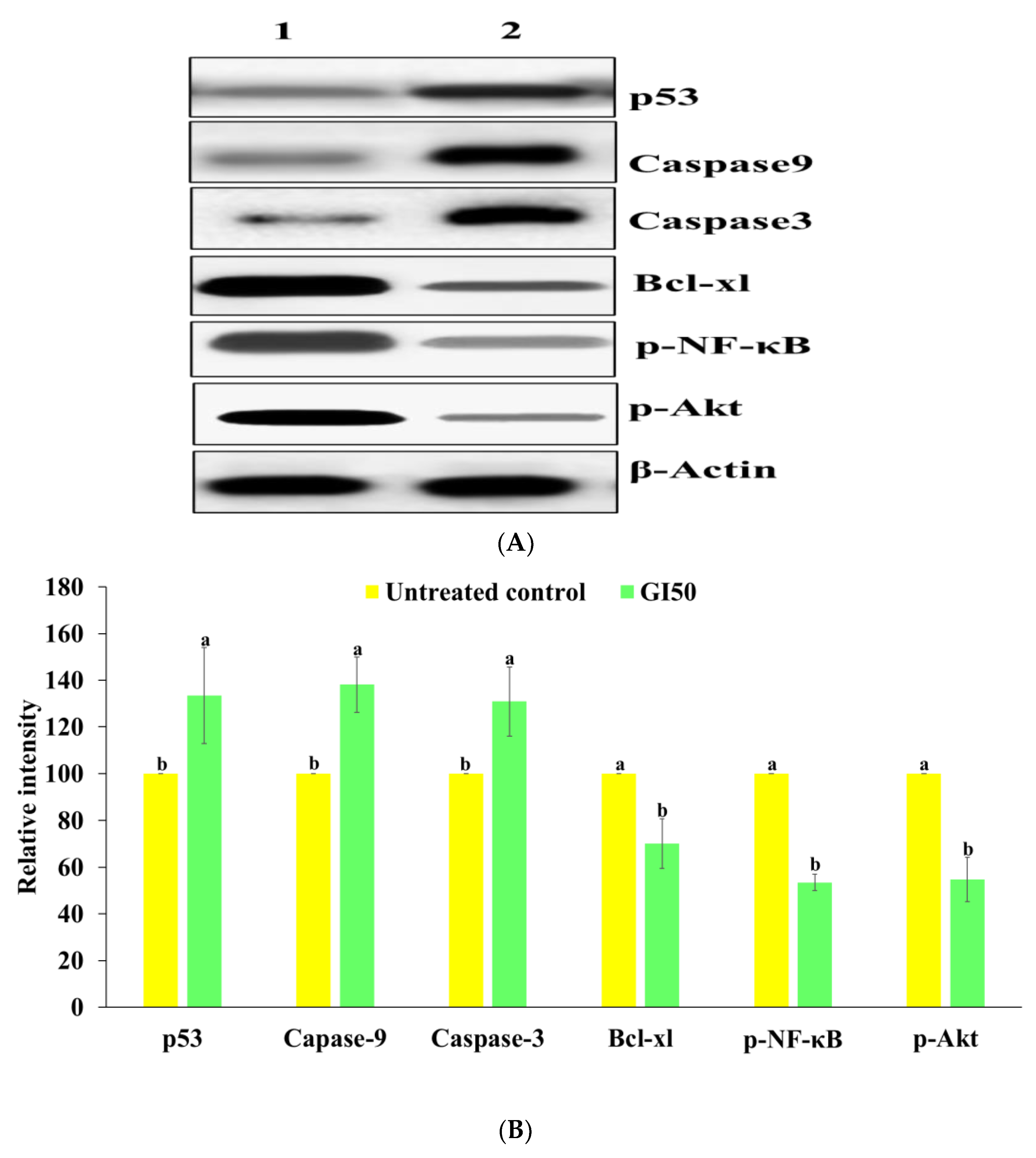 Molecules 27 03478 g013 Molecules 27 03478 g013