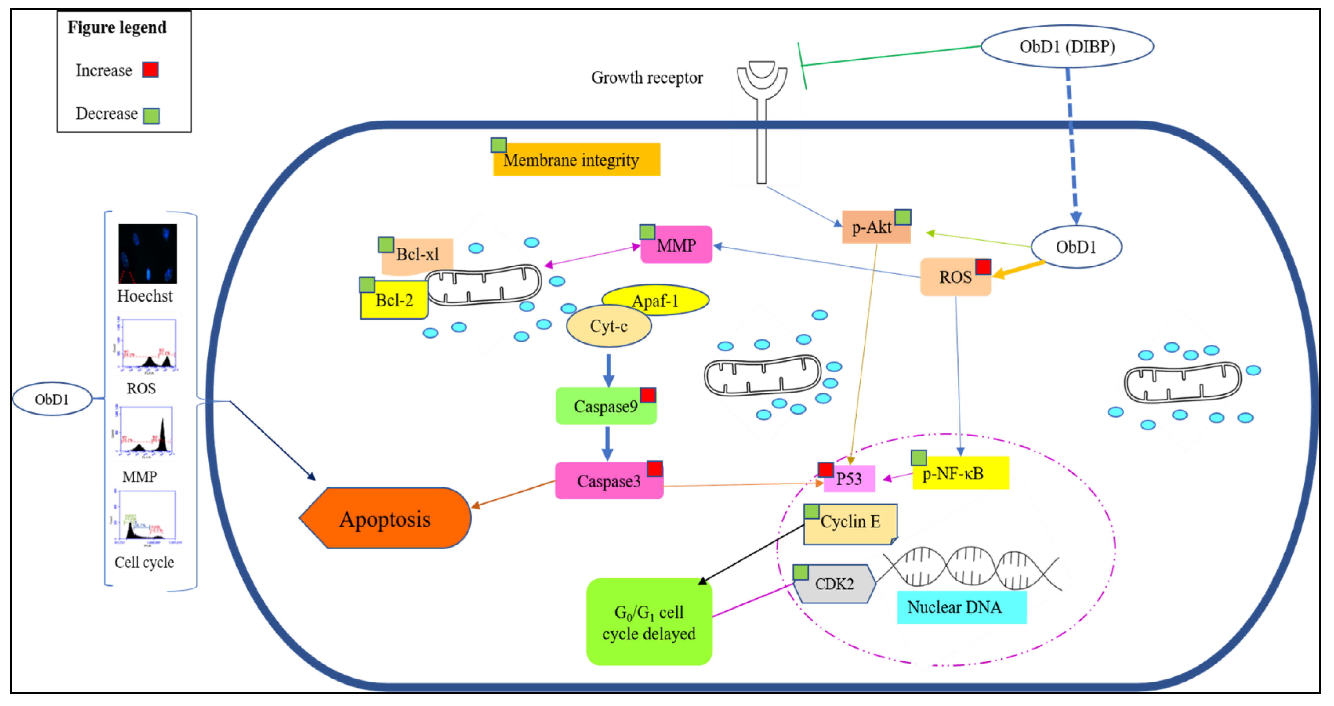 Molecules 27 03478 g016 Molecules 27 03478 g016