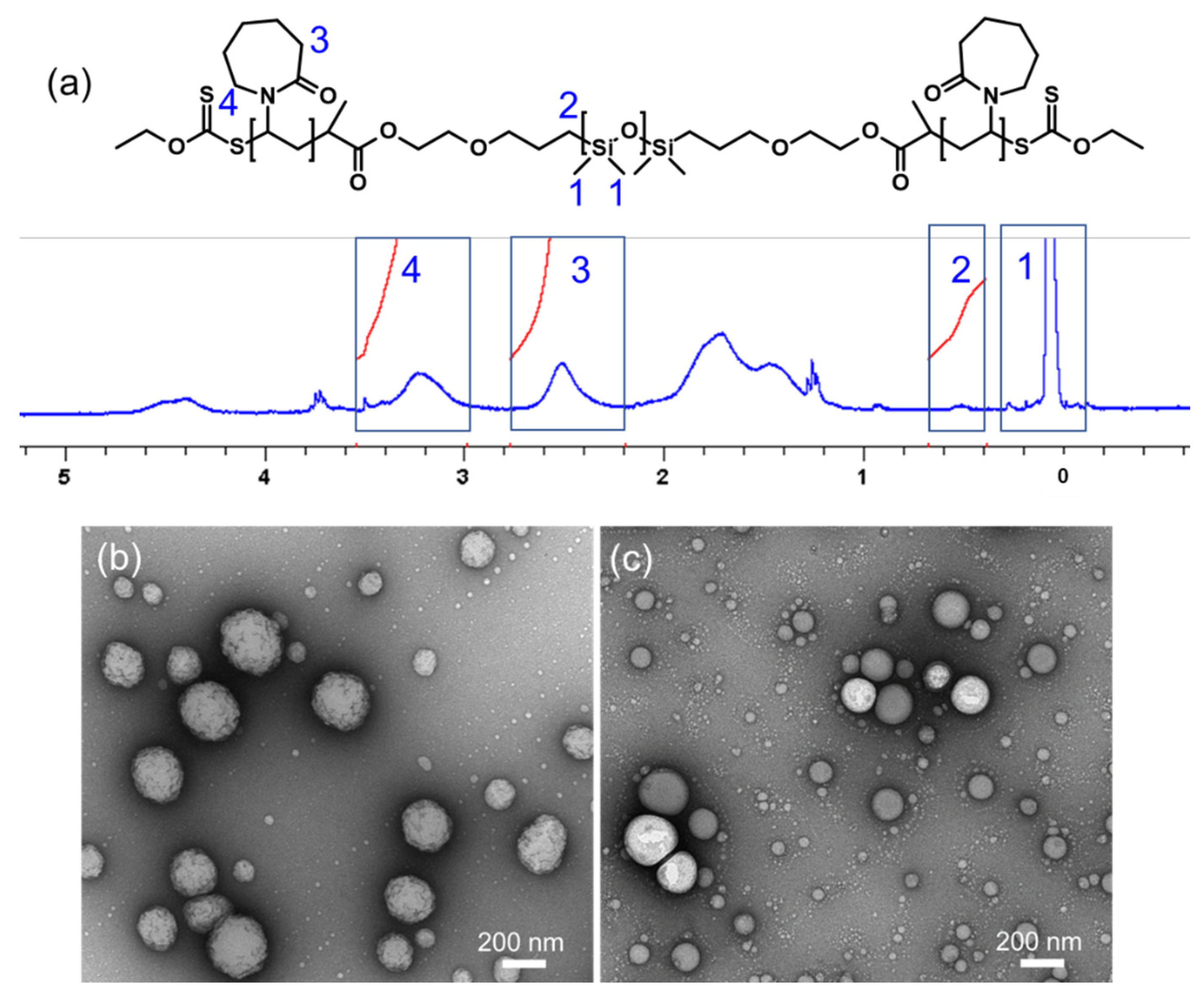 Molecules 27 03485 g002 Molecules 27 03485 g002