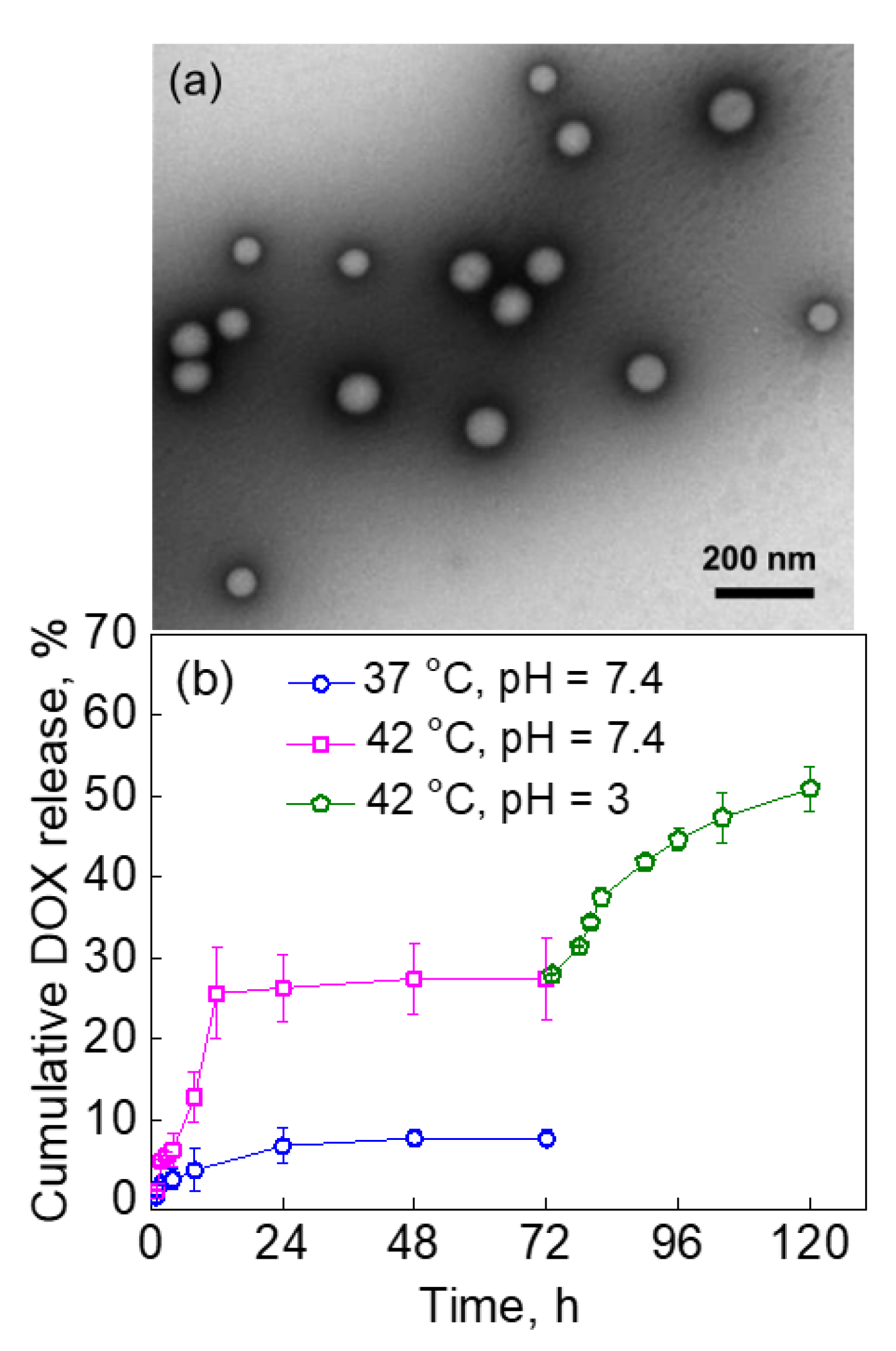 Molecules 27 03485 g006 Molecules 27 03485 g006