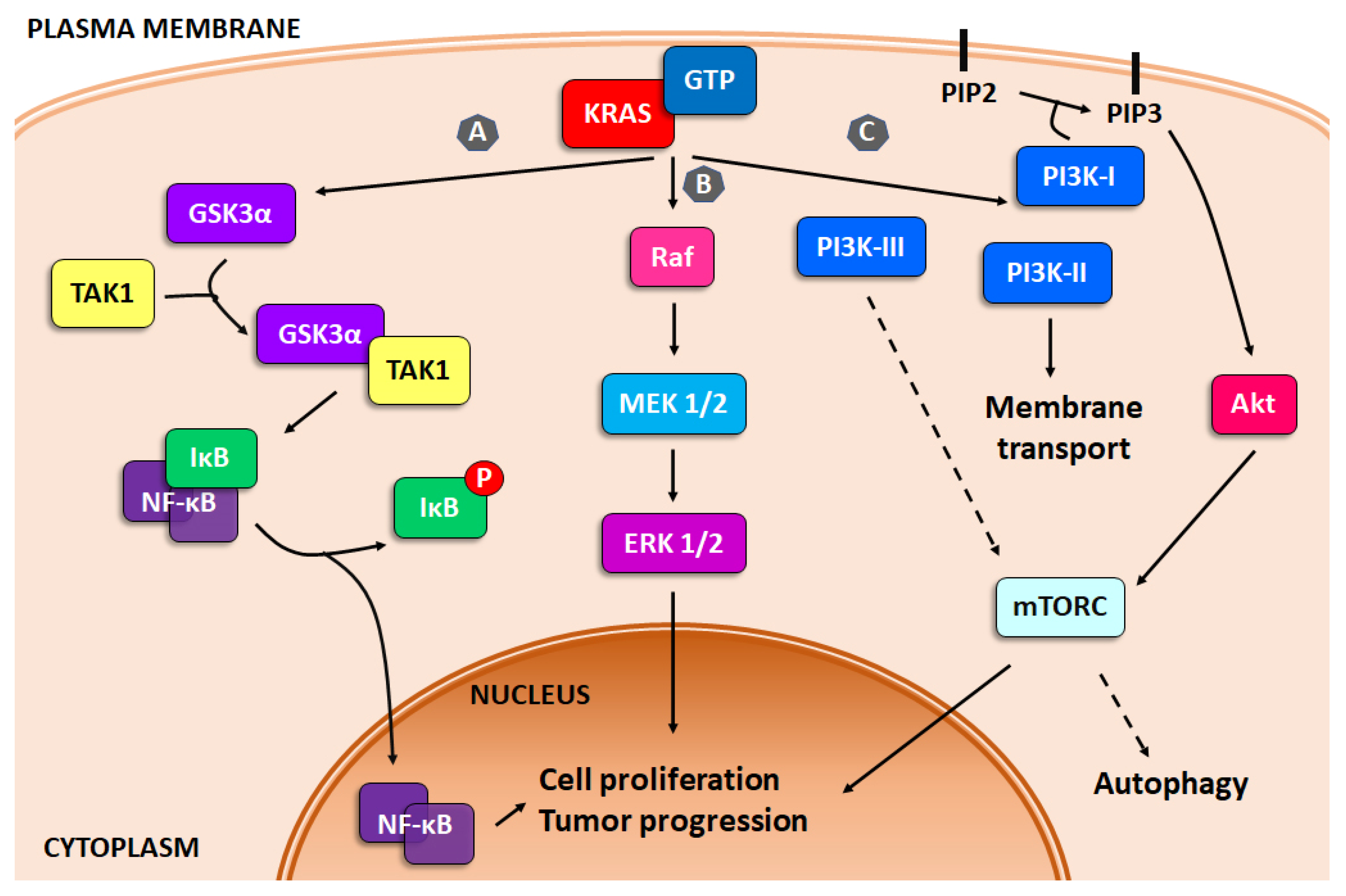 Molecules 27 03492 g001