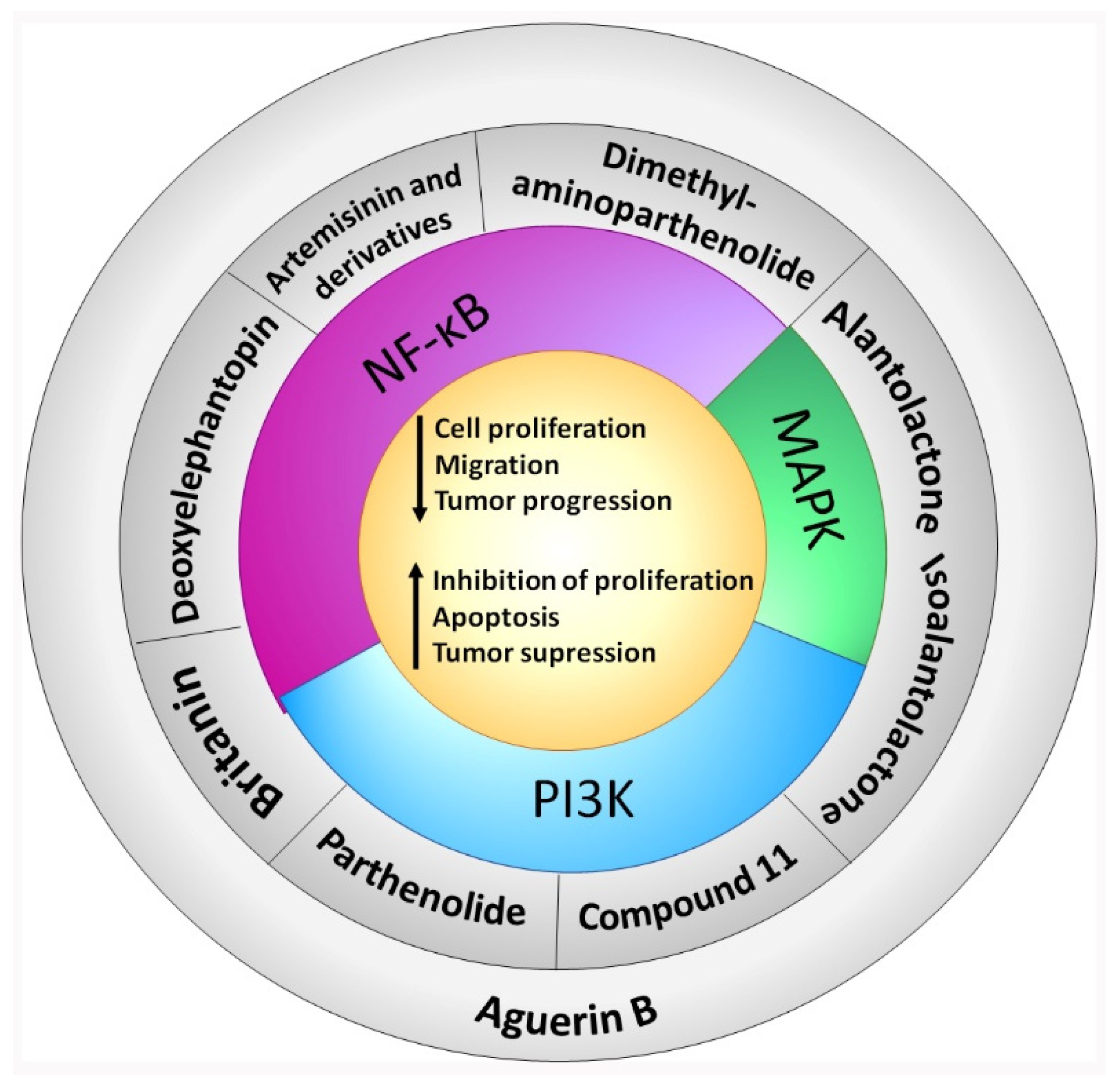 Molecules 27 03492 g002