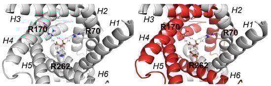 Molecules 27 03494 g006
