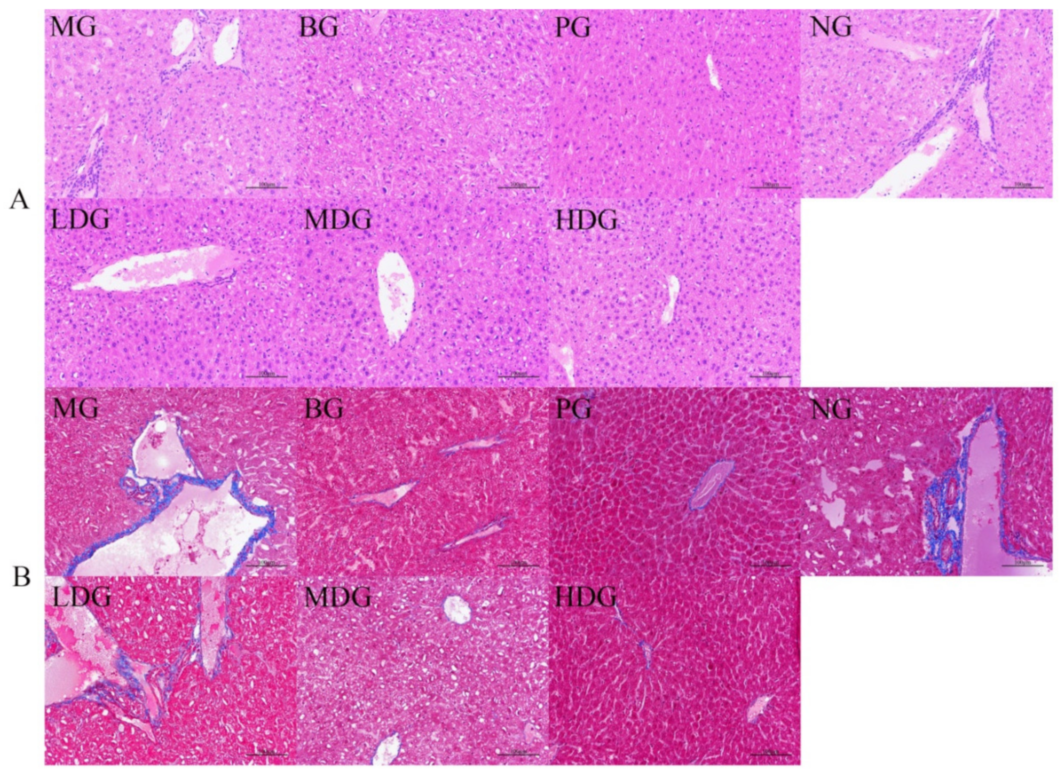 Molecules 27 03495 g007