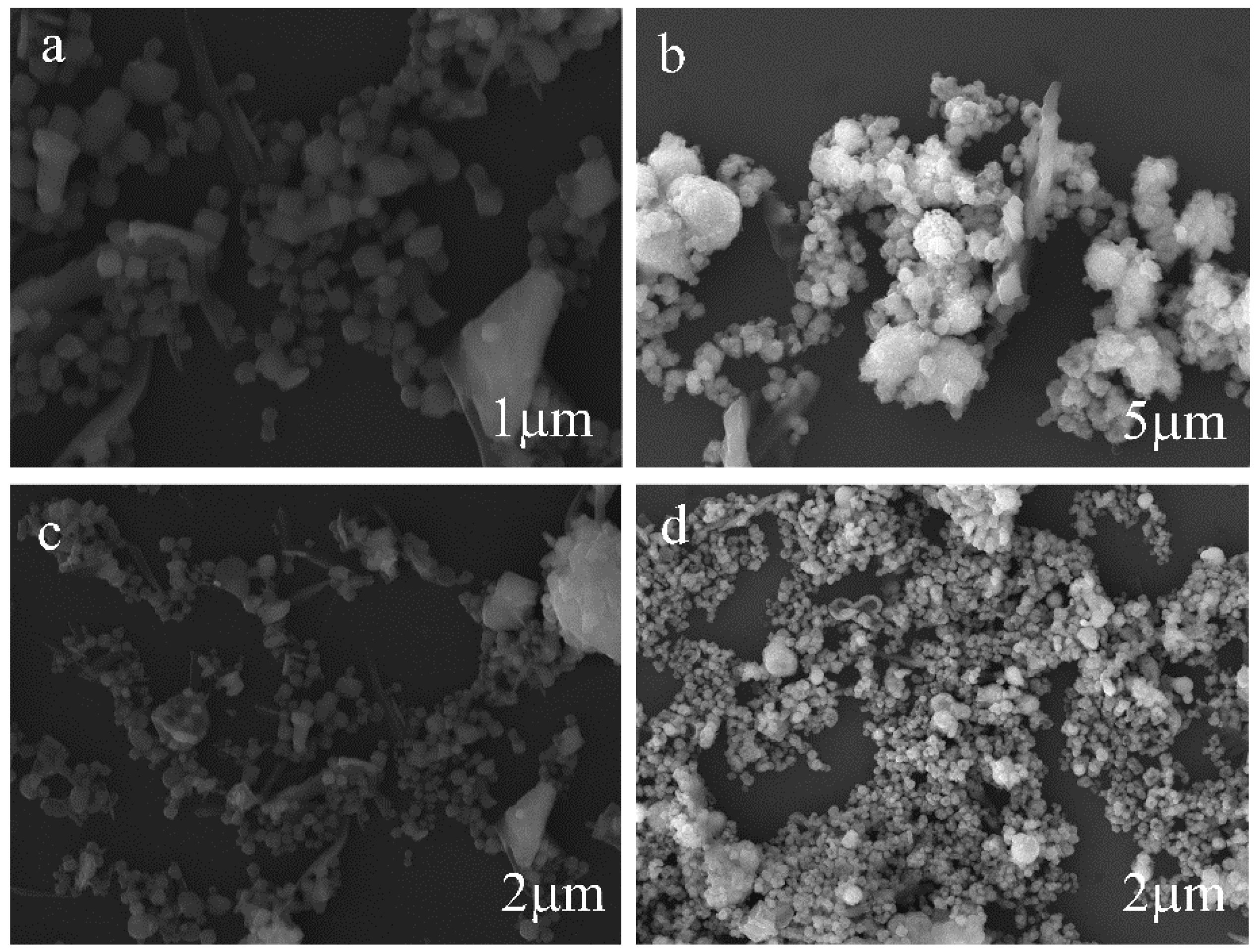 Molecules 27 03497 g010 Molecules 27 03497 g010