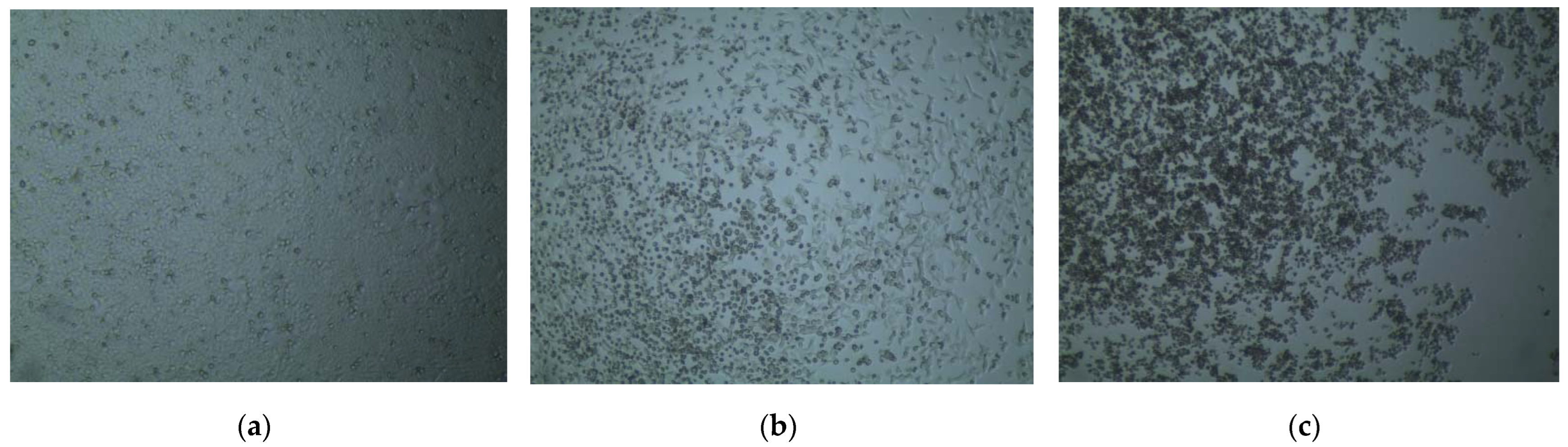 Molecules 27 03499 g002 Molecules 27 03499 g002