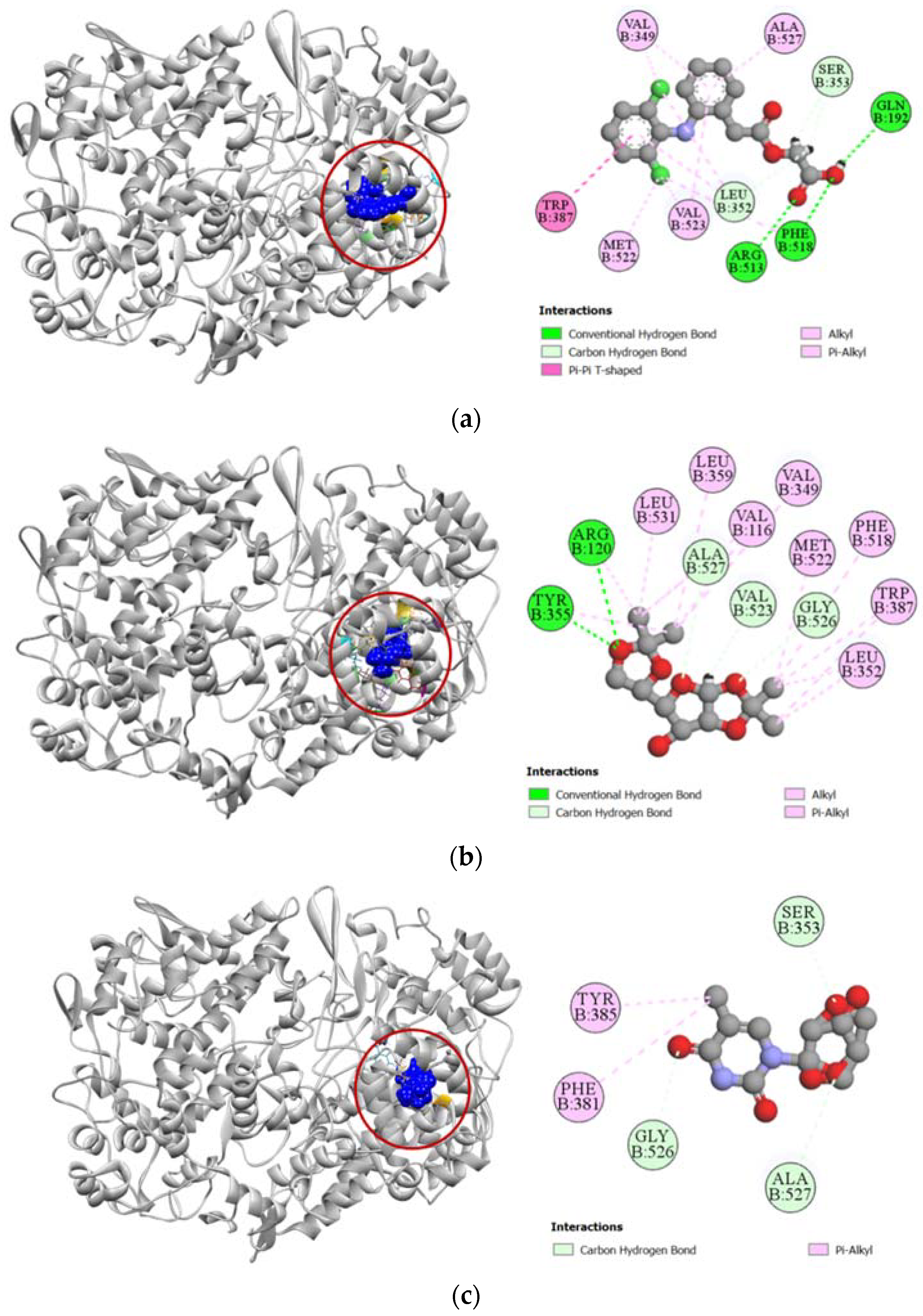 Molecules 27 03499 g004a Molecules 27 03499 g004a