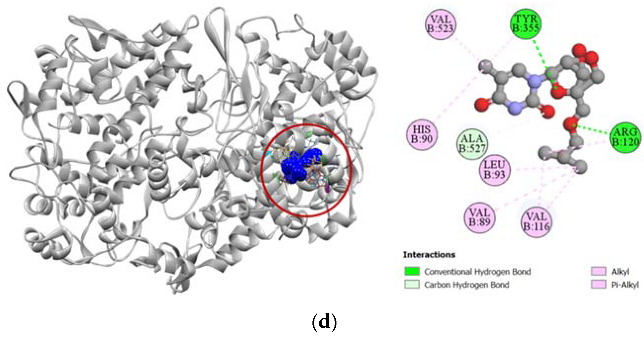 Molecules 27 03499 g004b Molecules 27 03499 g004b