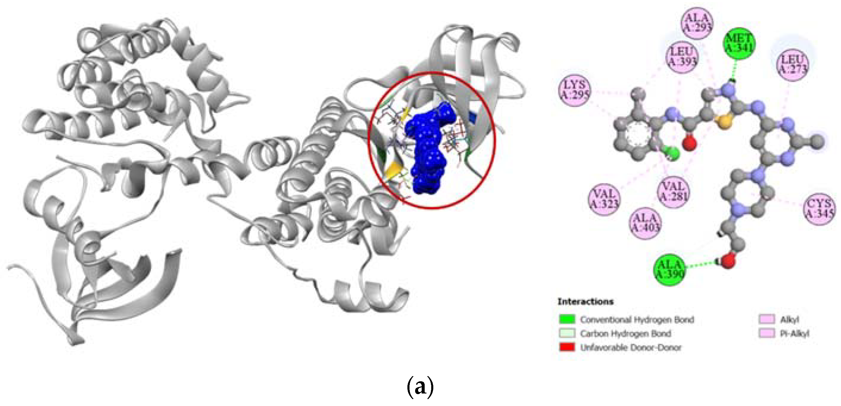 Molecules 27 03499 g007a Molecules 27 03499 g007a