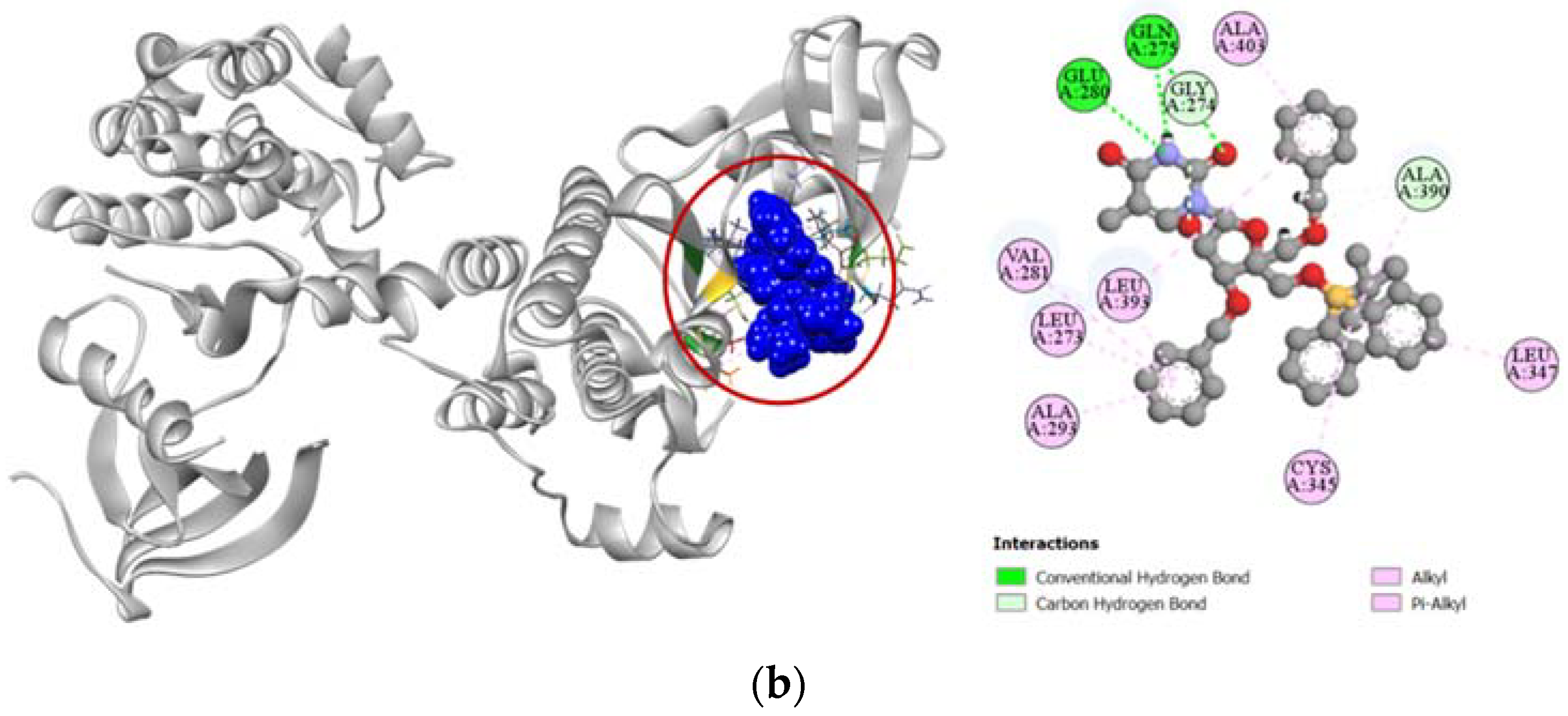 Molecules 27 03499 g007b Molecules 27 03499 g007b