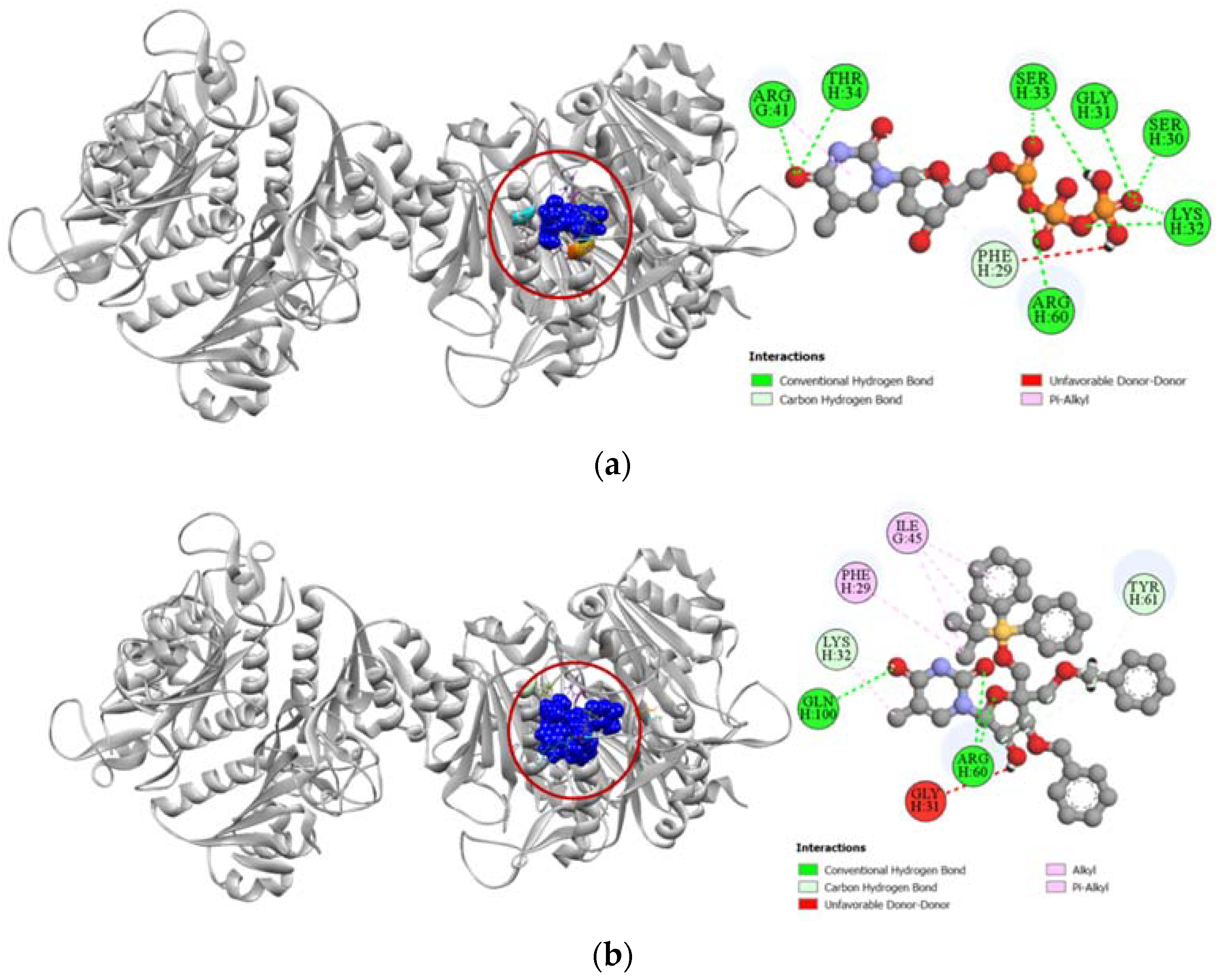 Molecules 27 03499 g008 Molecules 27 03499 g008