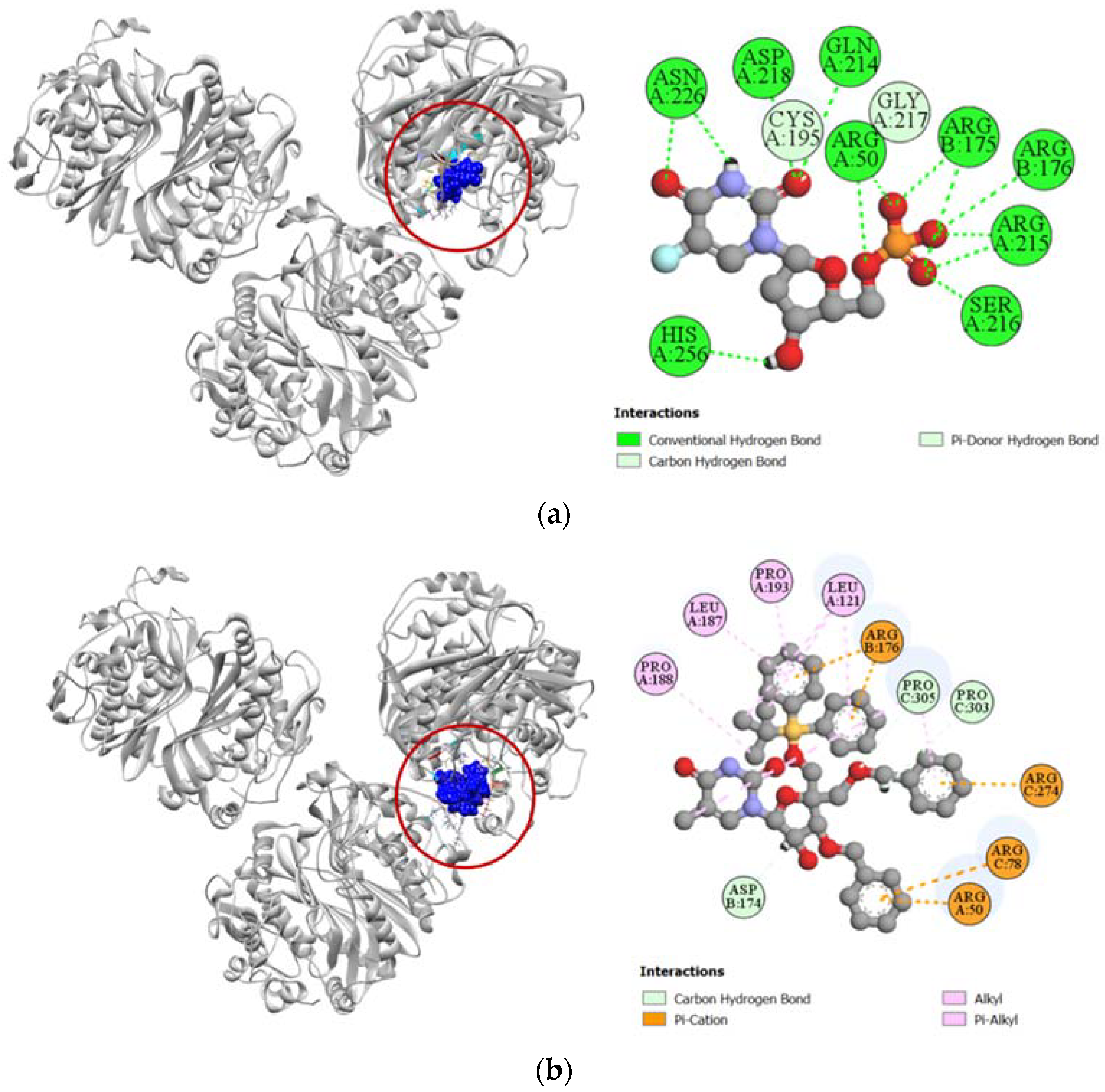 Molecules 27 03499 g009 Molecules 27 03499 g009