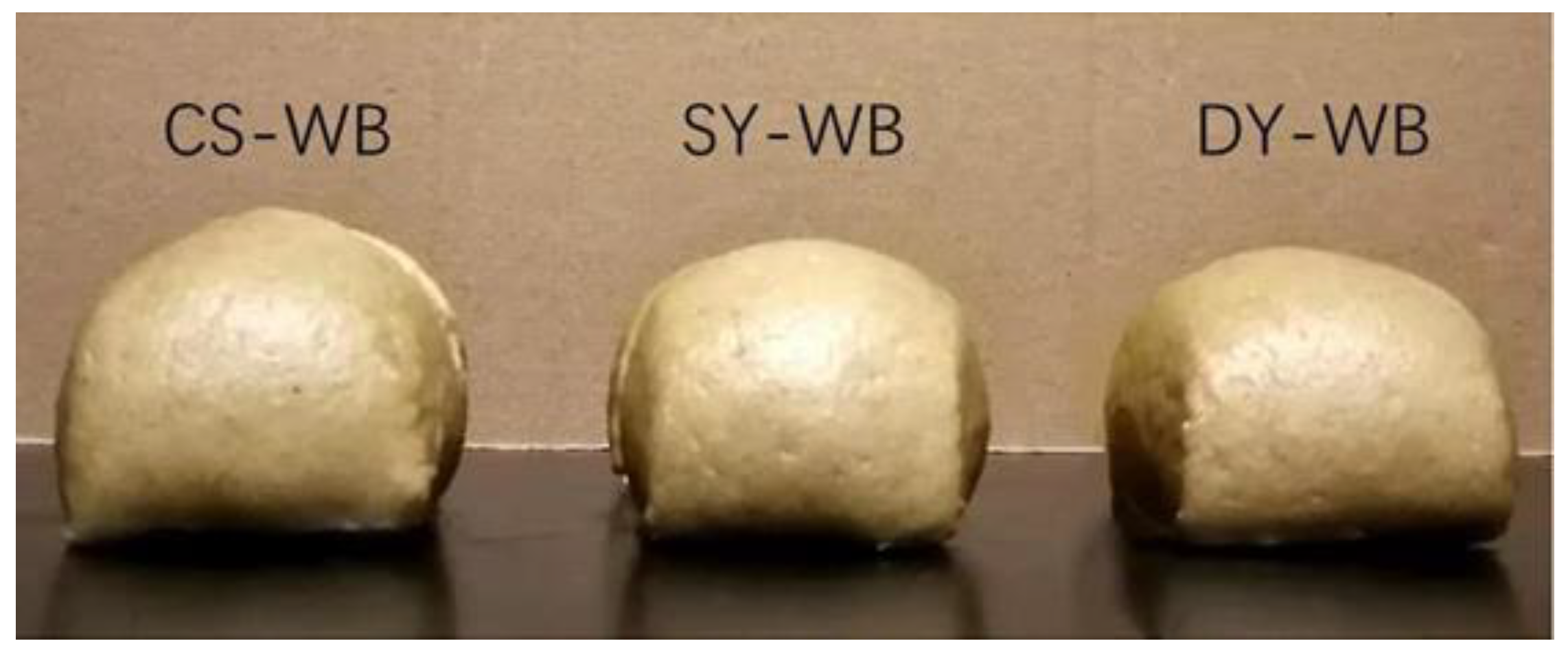 Molecules 27 03510 g005