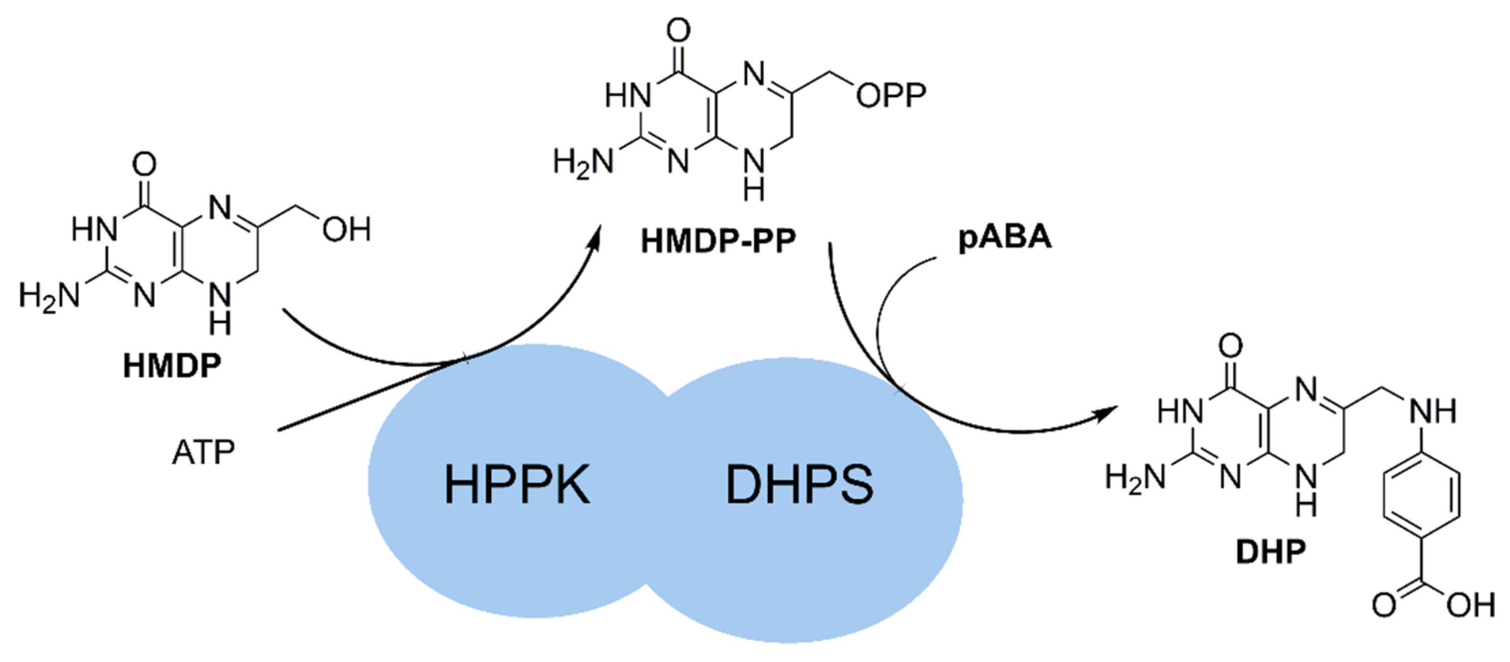 Molecules 27 03515 g001 Molecules 27 03515 g001