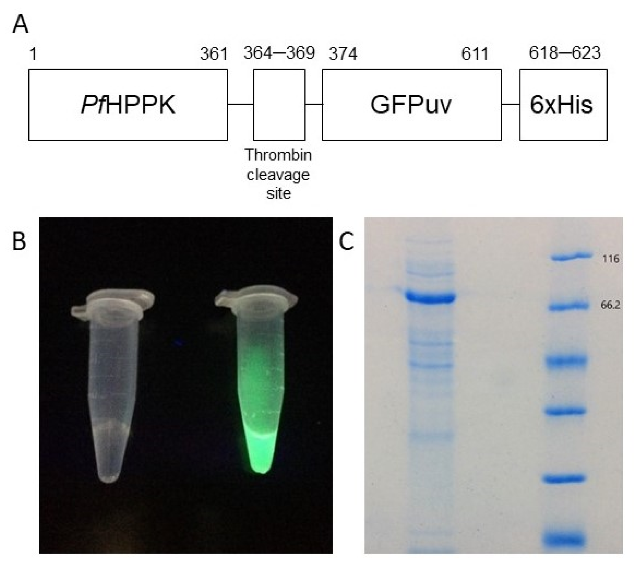 Molecules 27 03515 g002 Molecules 27 03515 g002