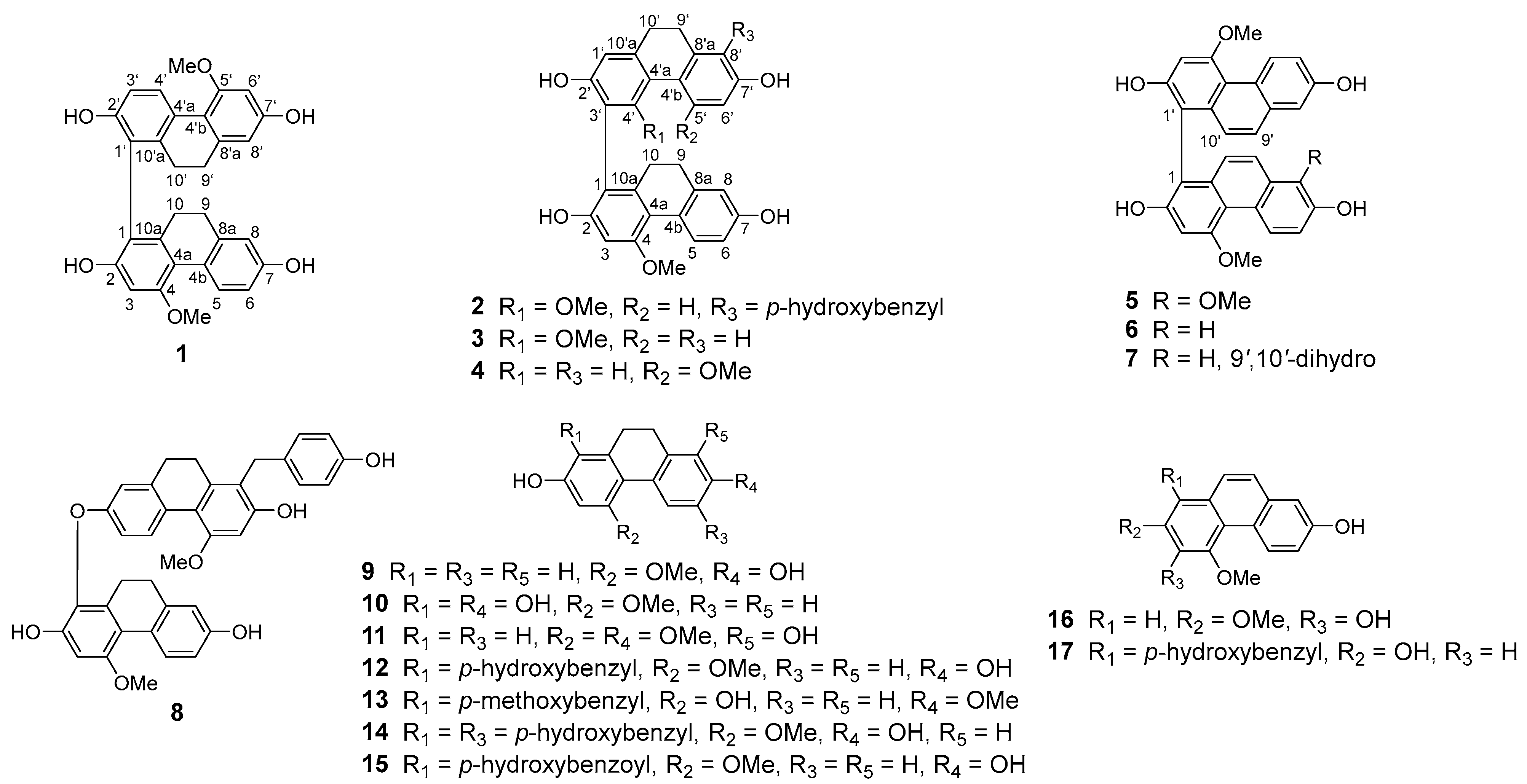 Molecules 27 03519 g001