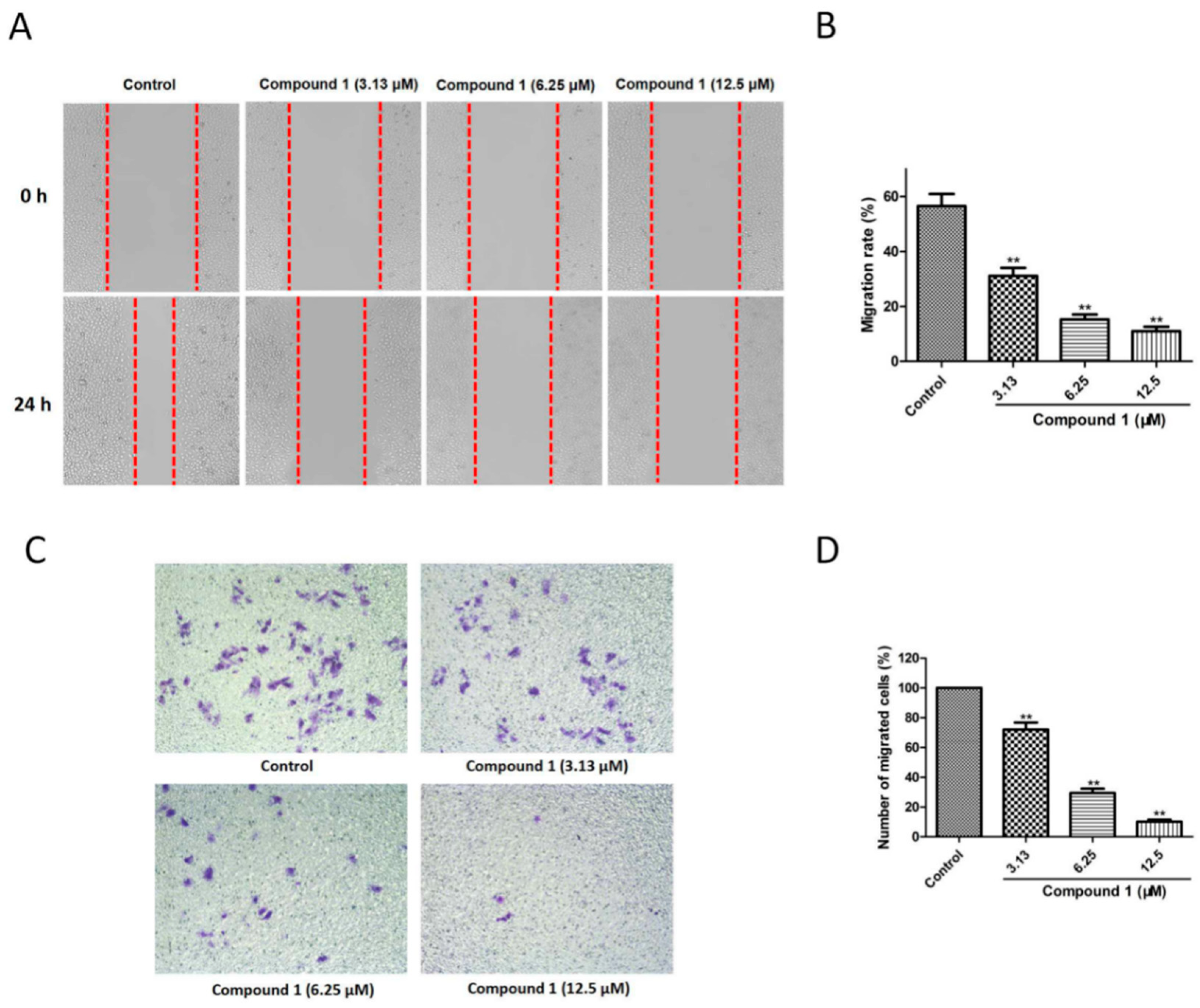 Molecules 27 03519 g004