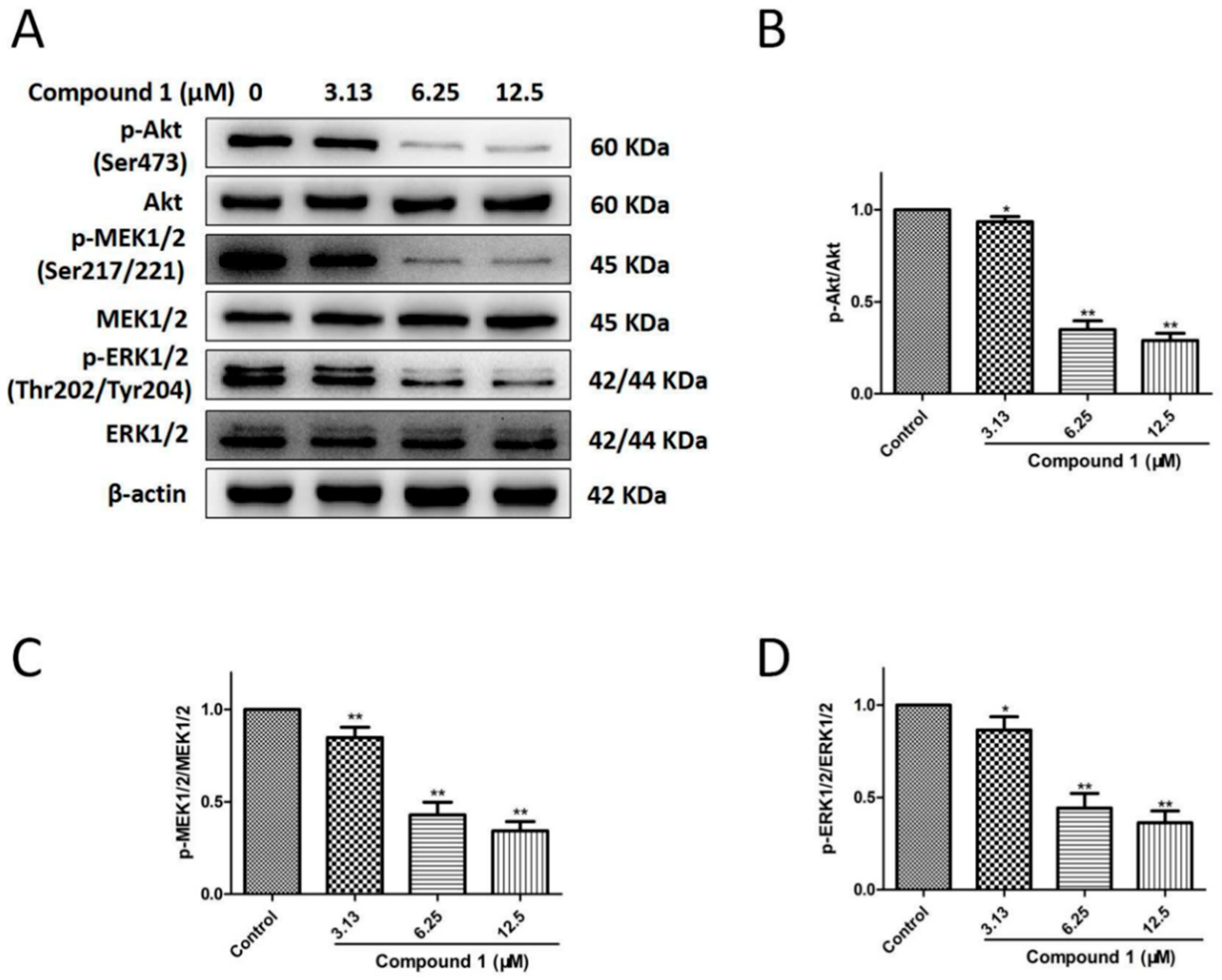 Molecules 27 03519 g006