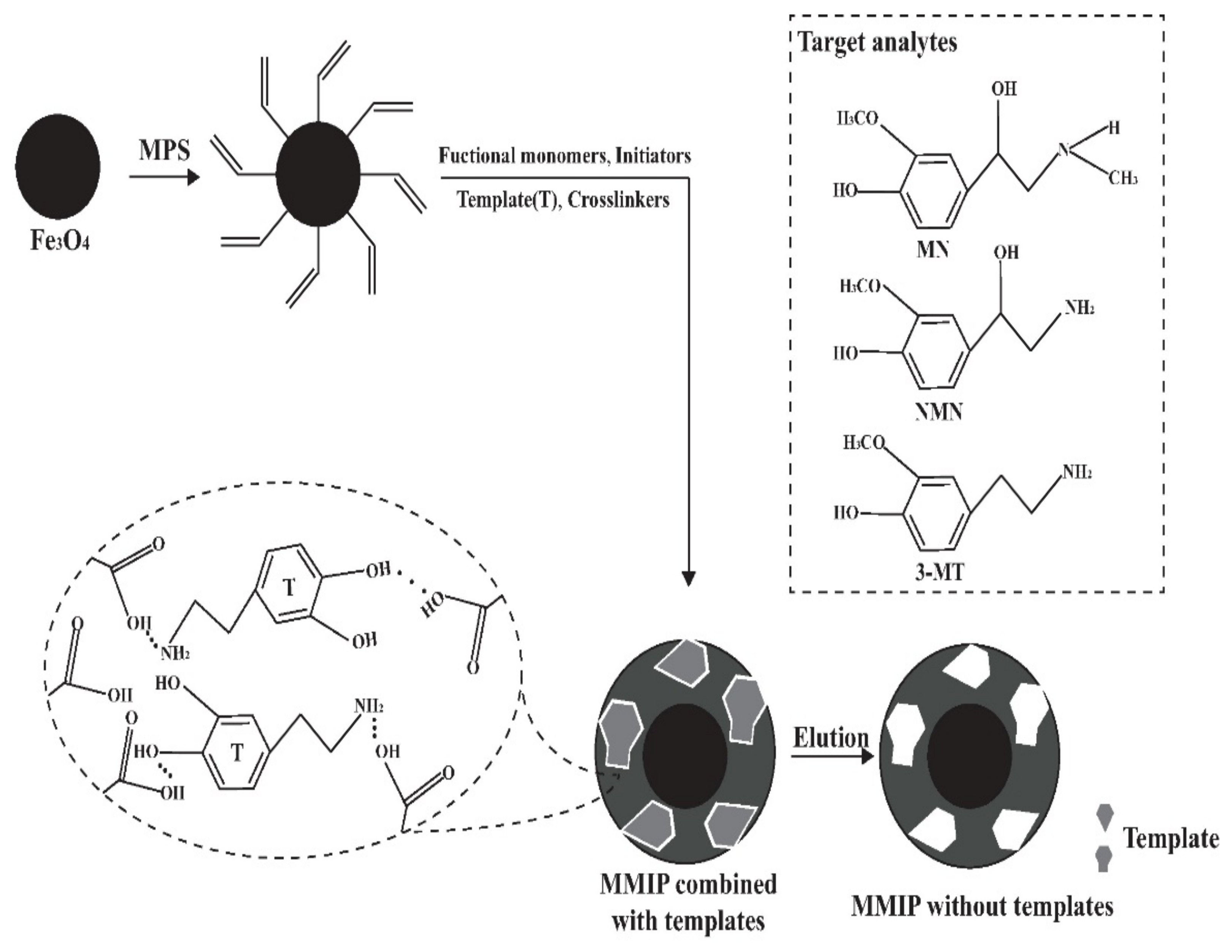 Molecules 27 03520 g001 Molecules 27 03520 g001