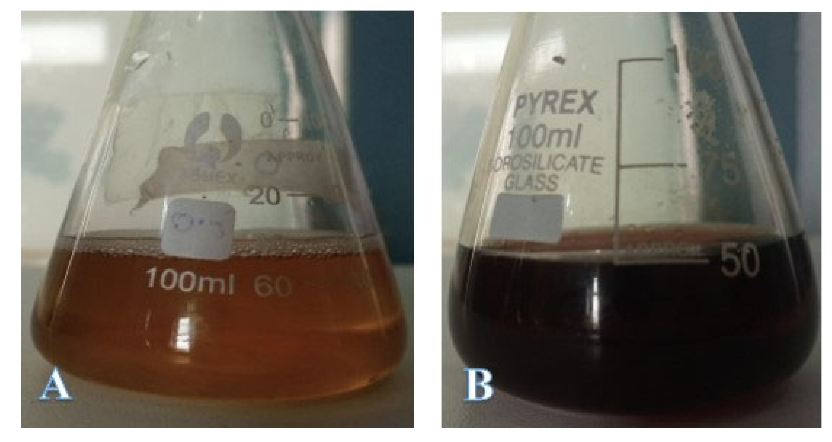 Molecules 27 03525 g003