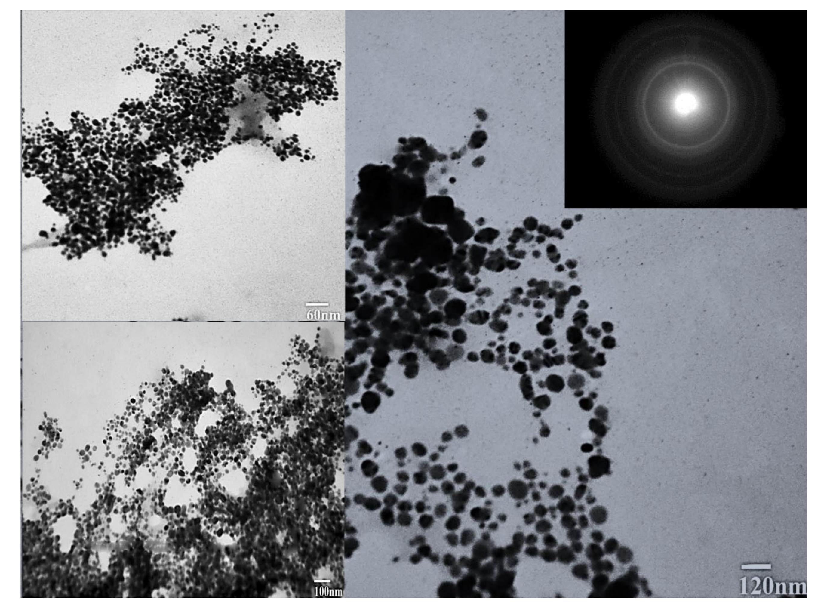 Molecules 27 03525 g005